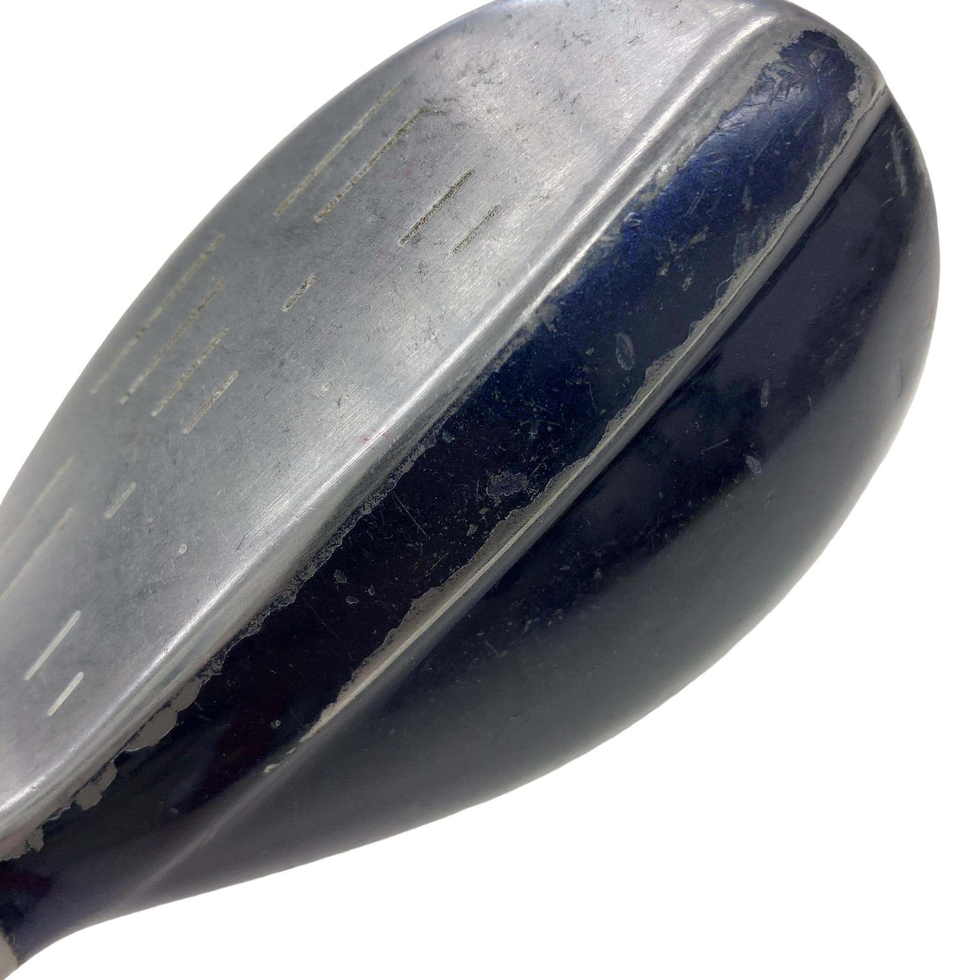 �w�w�h�n�i�Q�O�P�U�j�@�t�U�@���f�B�[�X