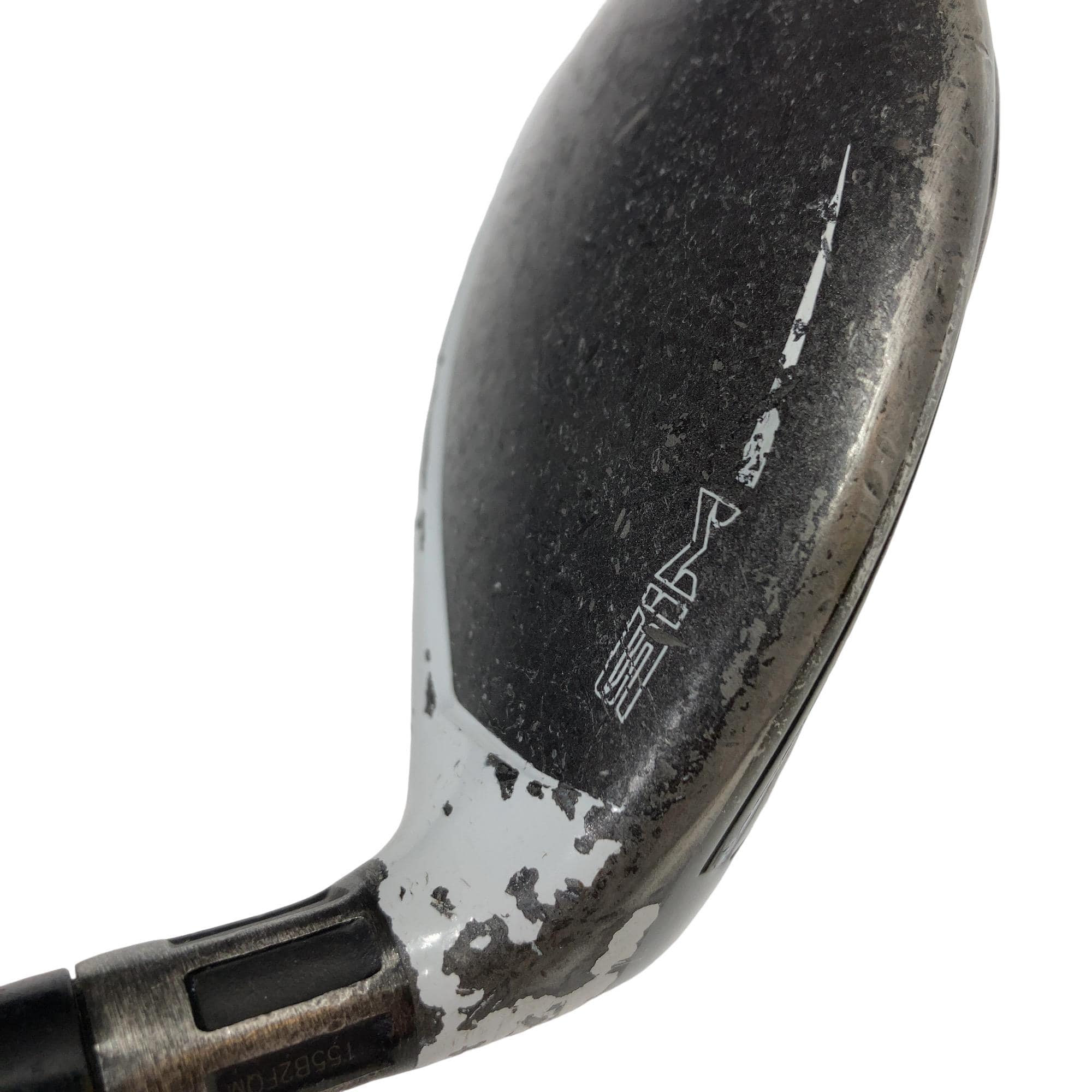 �r�h�l�@�l�`�w�@�t�U�@���f�B�[�X