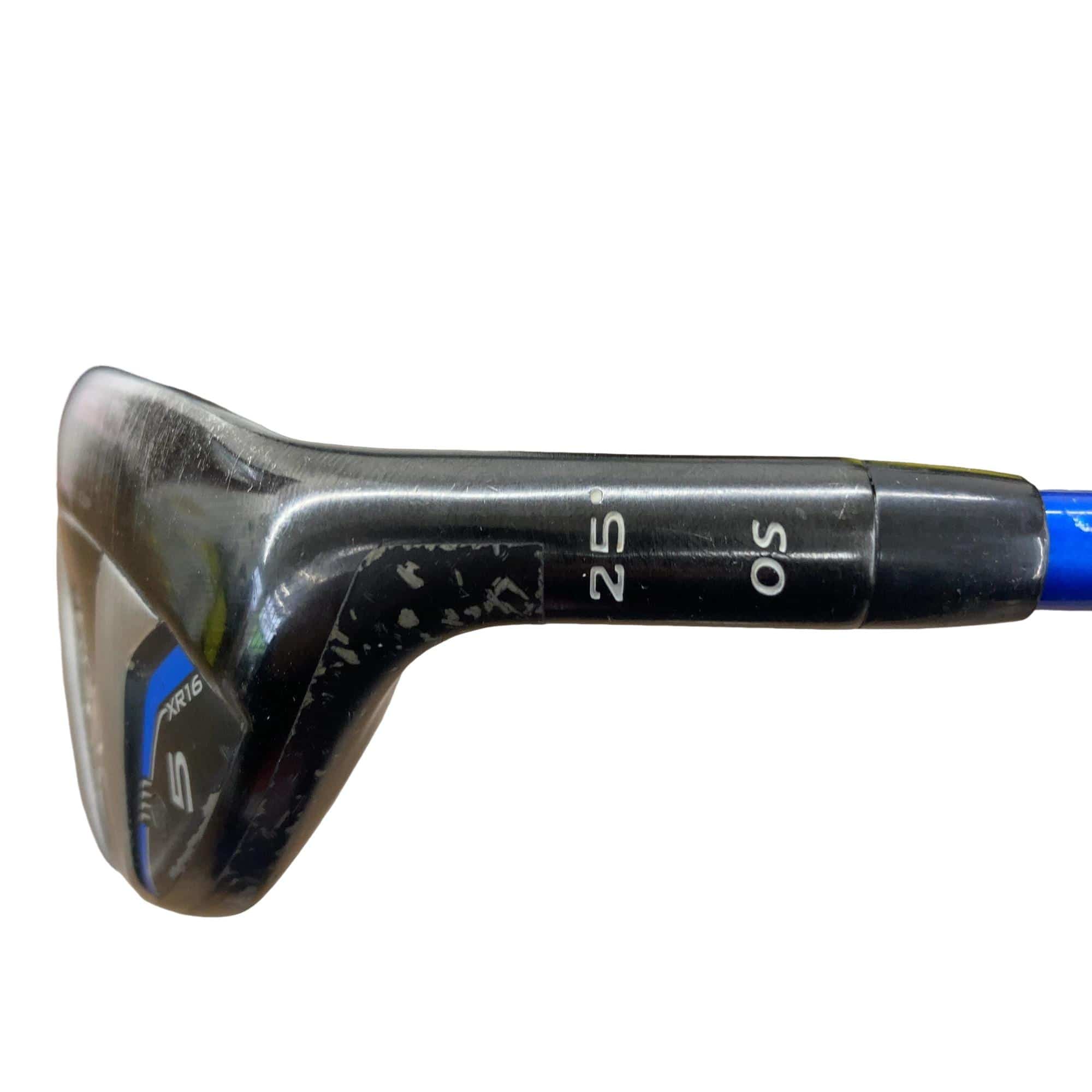 �w�q�@�P�U�@�n�r�@�t�T�@���f�B�[�X