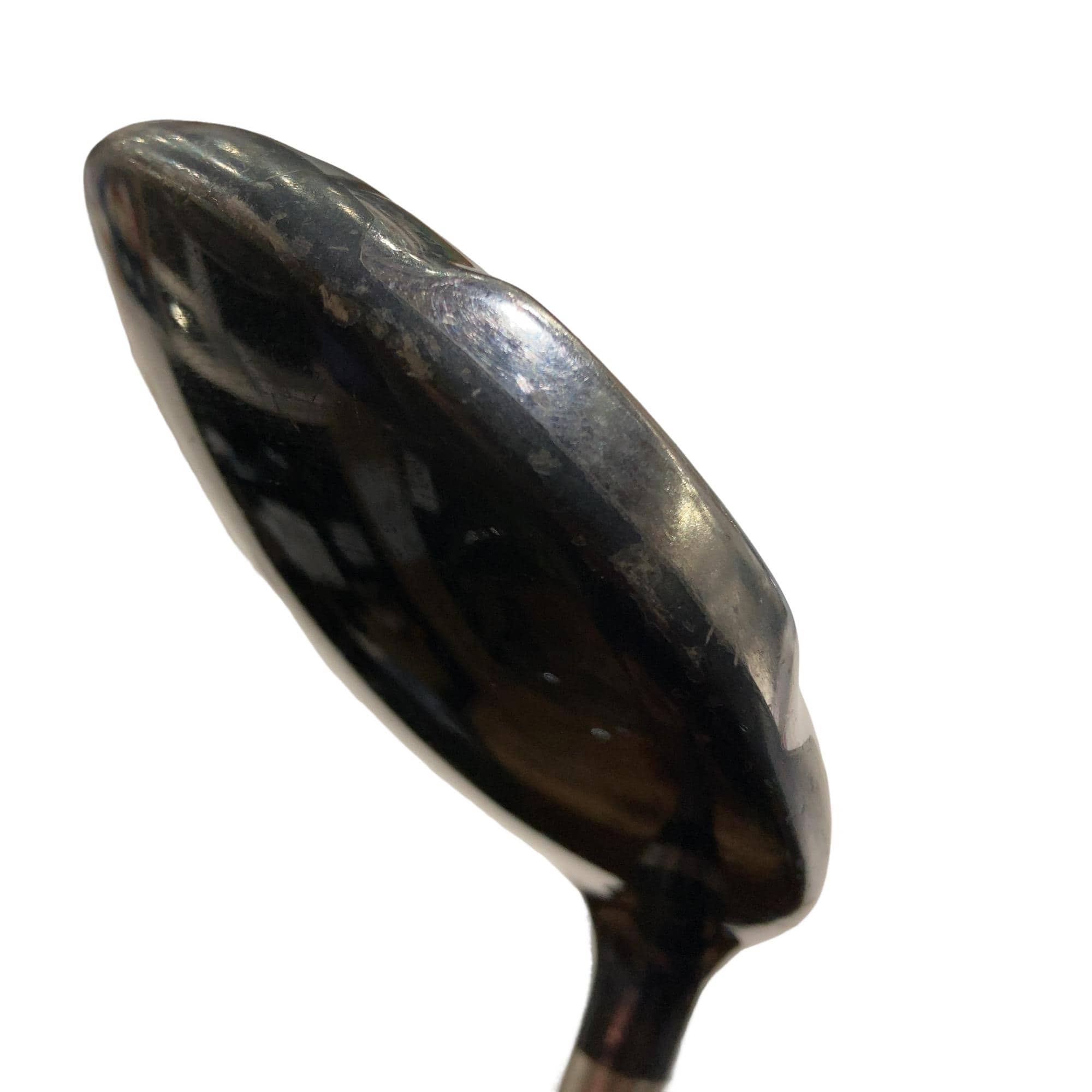 �f�Q�O�@�T�v�@�t�r�`