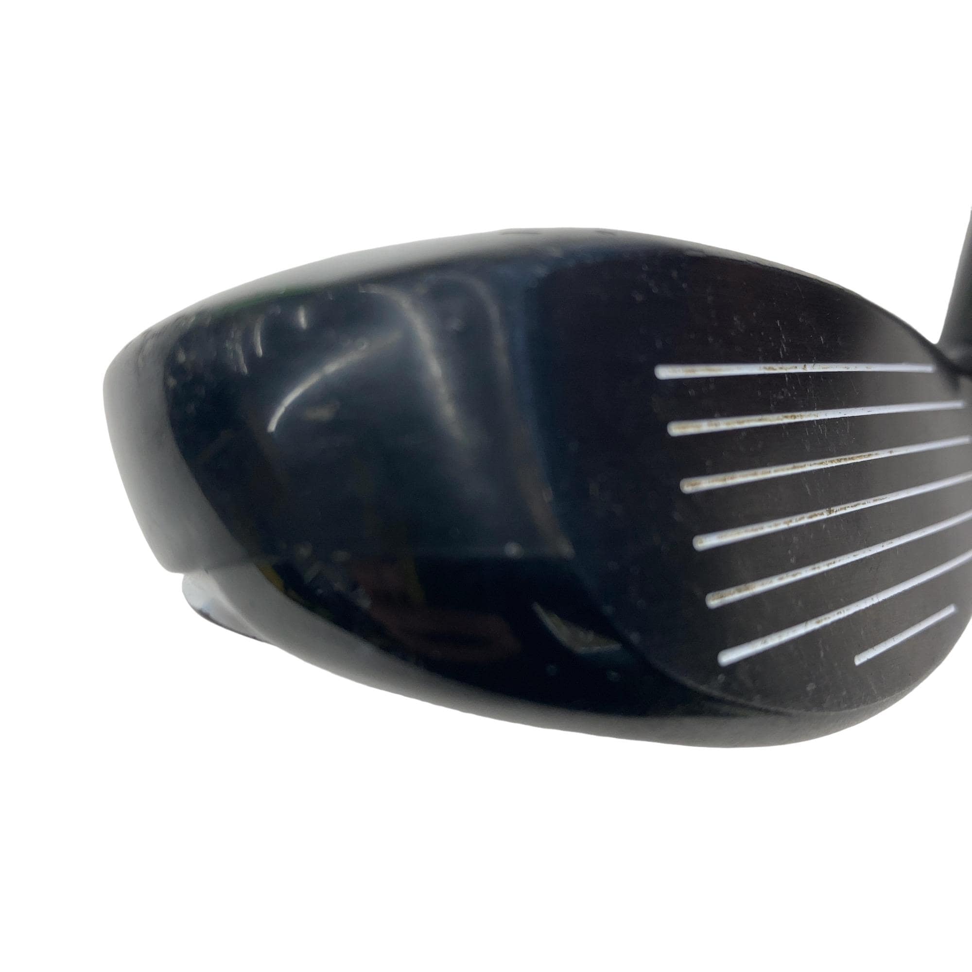 �w�Q�@�g�n�s�@�t�R