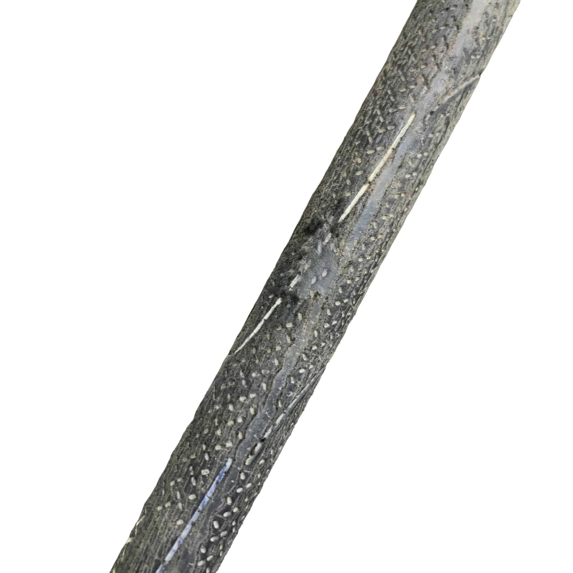 �l�`�b�s�d�b�@�m�u�|�m�w�q�@�@�W�r�i���{���F�W�{�Z�b�g�j