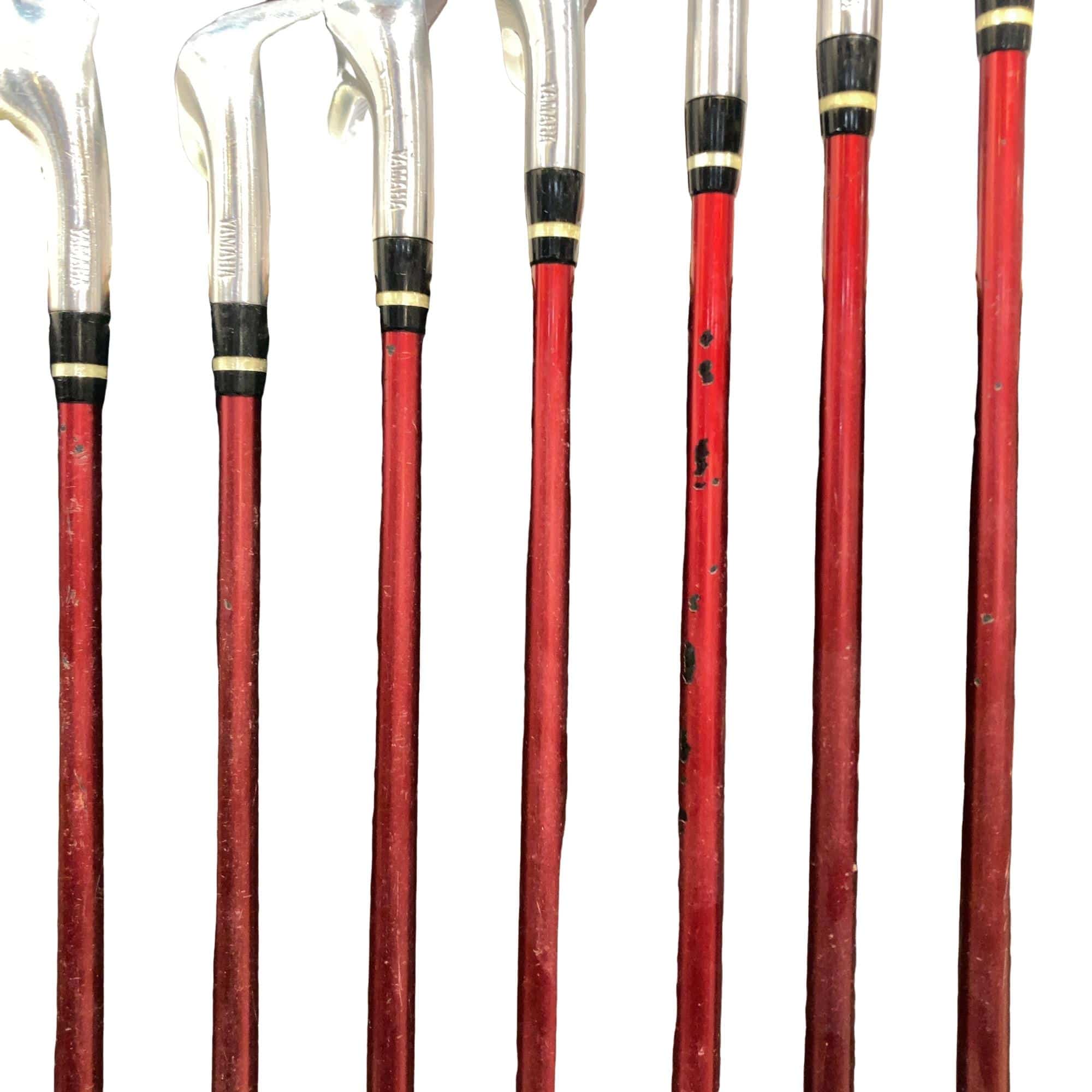 �������������@�q�l�w�@�t�c�{�Q�@�V�r�i���{���F�V�{�Z�b�g�j