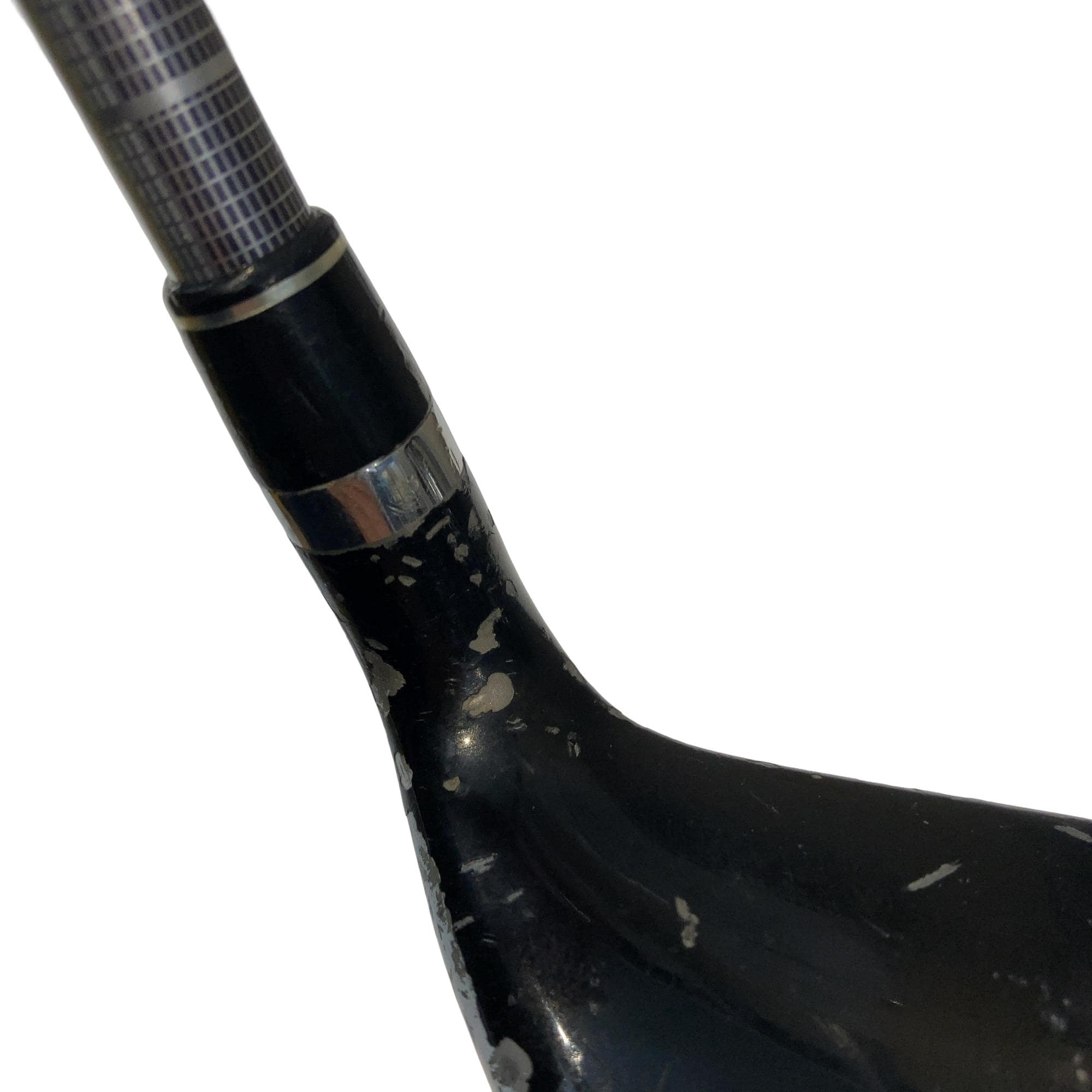 ���c�@�����������@�w�@�t�T�@���f�B�[�X