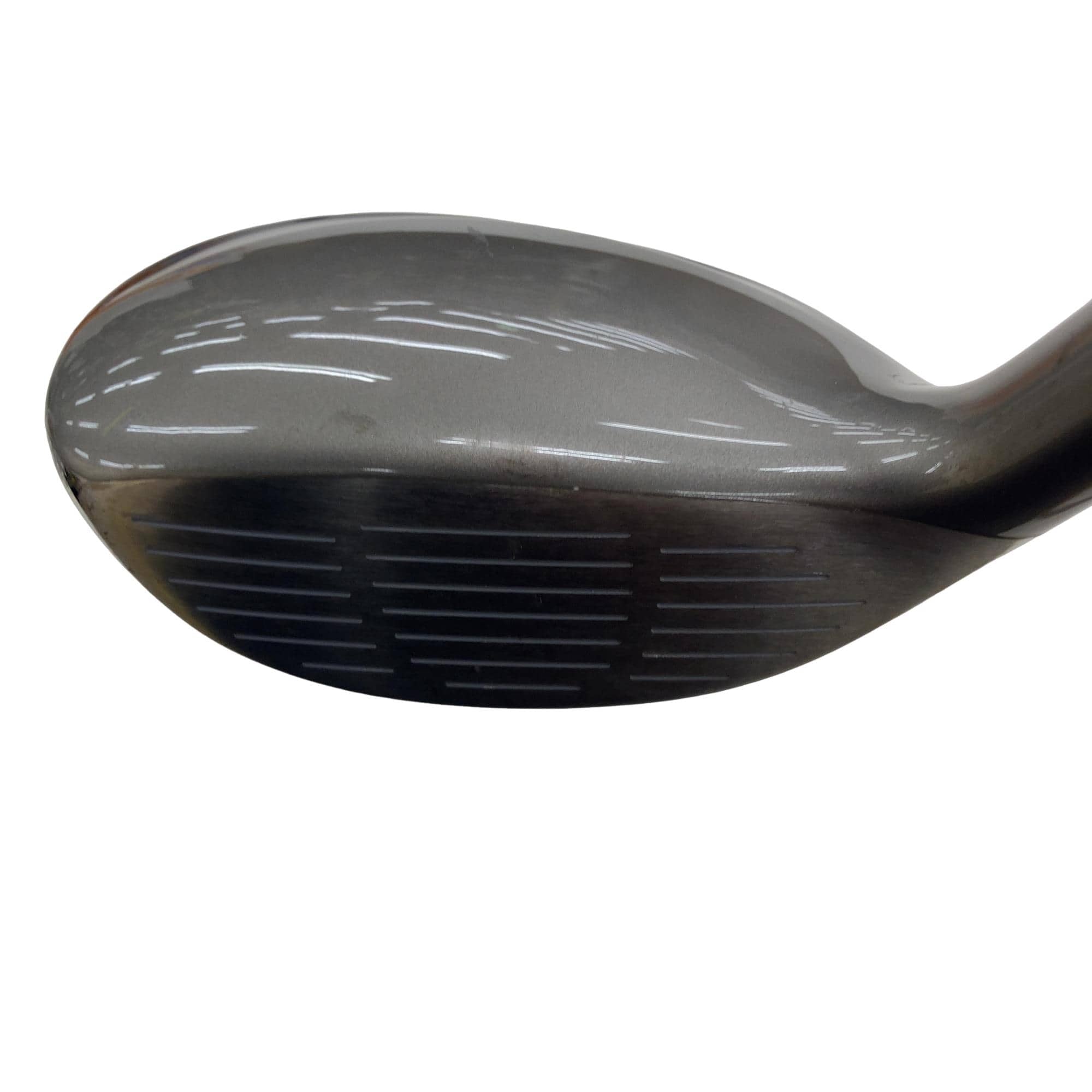 �u�h�b�s�n�q�x�@�q�d�c�@���[�e�B���e�B�@�t�R�@�t�r�`