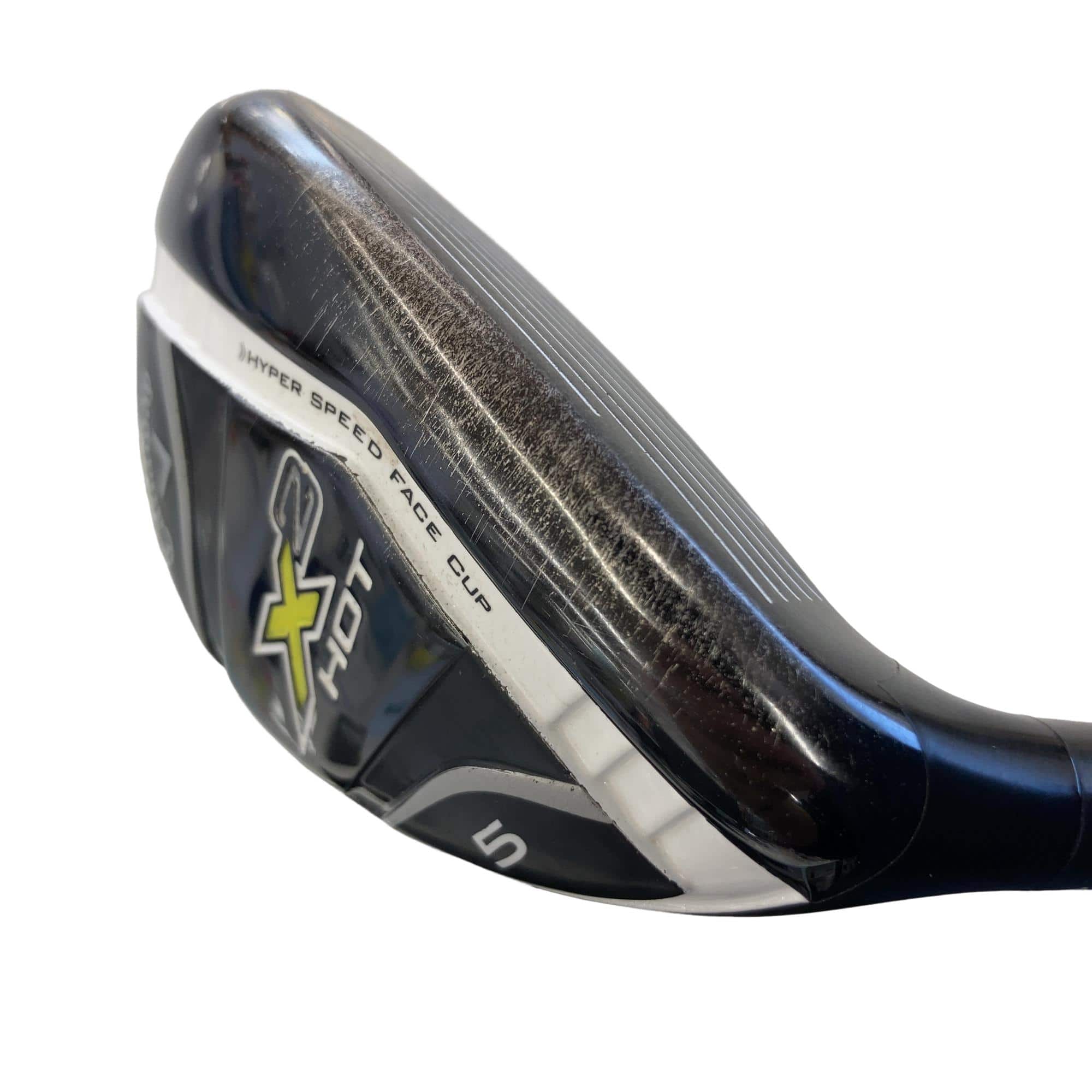 �w�Q�@�g�n�s�@�t�T