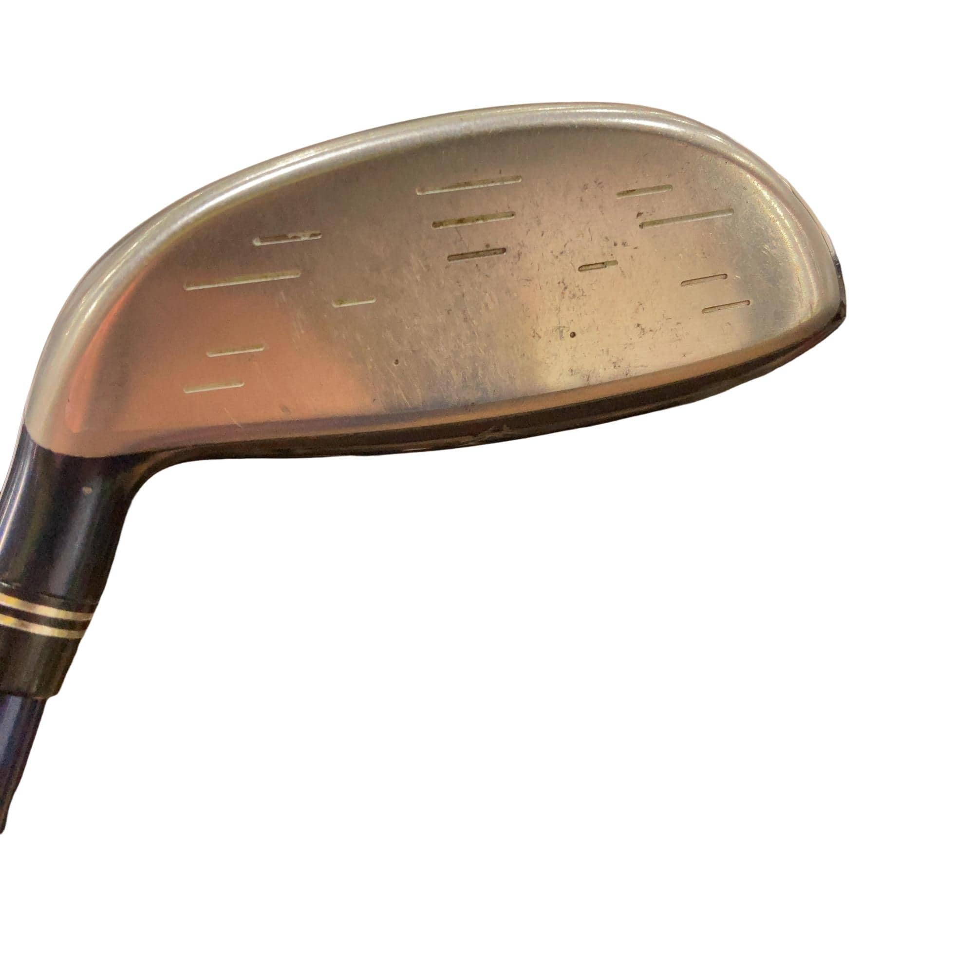 �w�w�h�n�i�Q�O�P�U�j�@�T�v�@���f�B�[�X