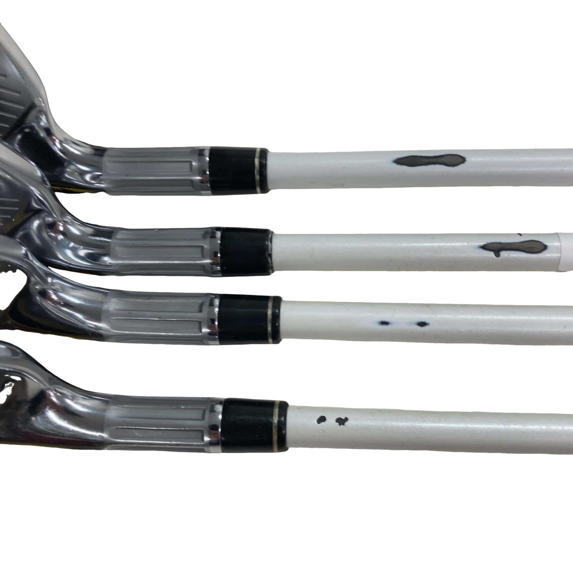 �l�Q�@�T�r�@���f�B�[�X�i���{���F�S�{�Z�b�g�j