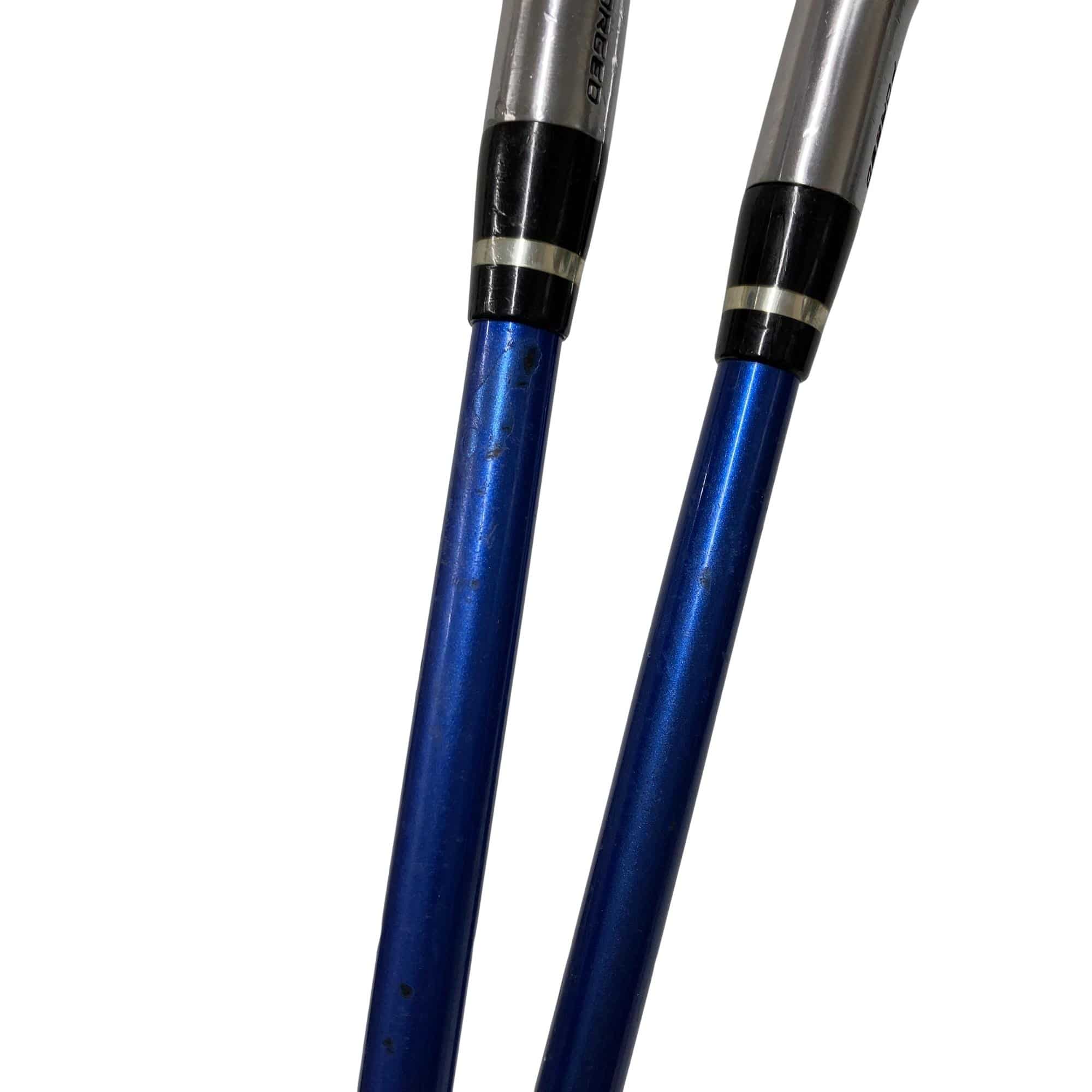 �������������@�t�c�{�Q�@�U�r�i���{���F�U�{�Z�b�g�j