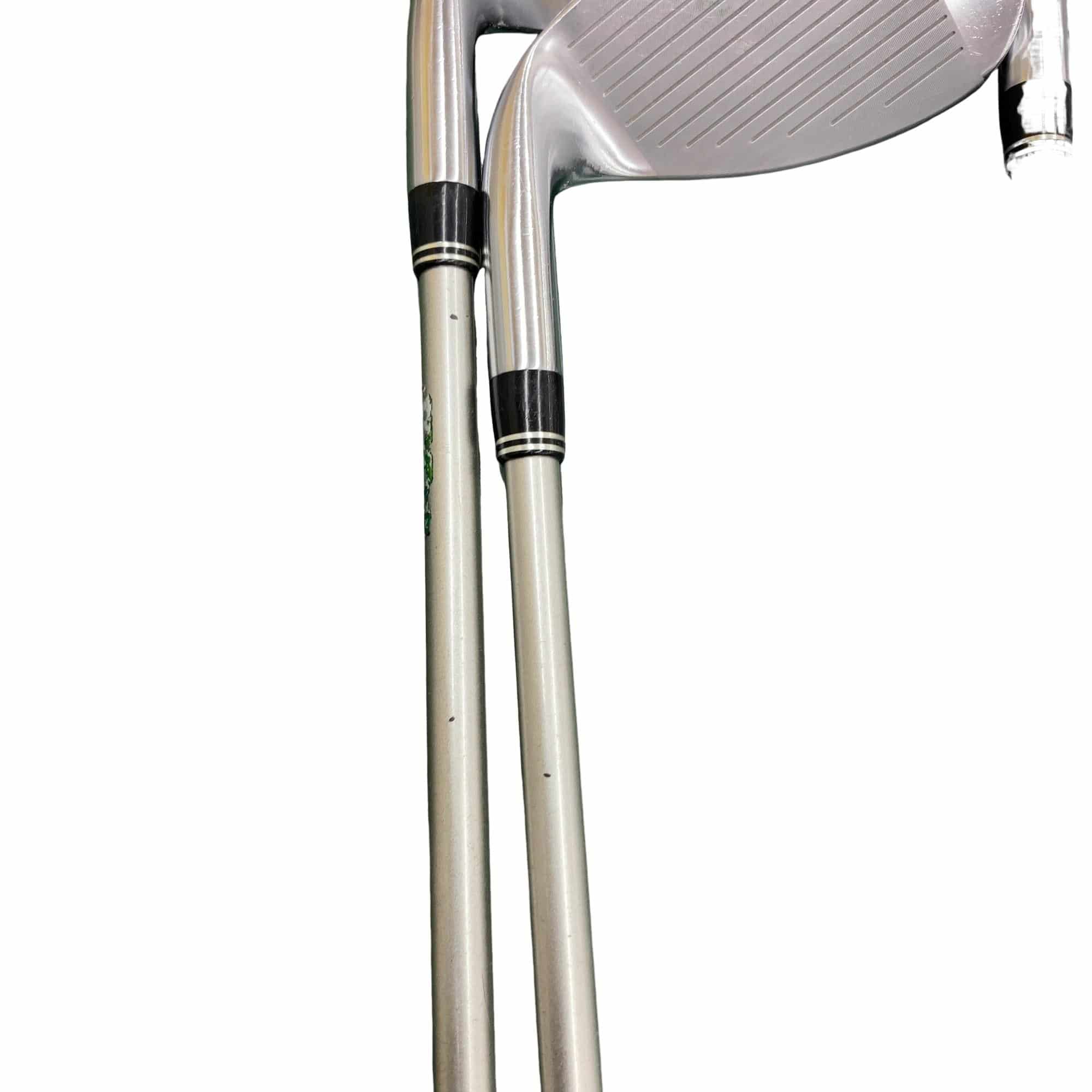 �o�g�x�y�i�Q�O�P�S�j�@�b�k�@�T�r�@���f�B�[�X�i���{���F�T�{�Z�b�g�j