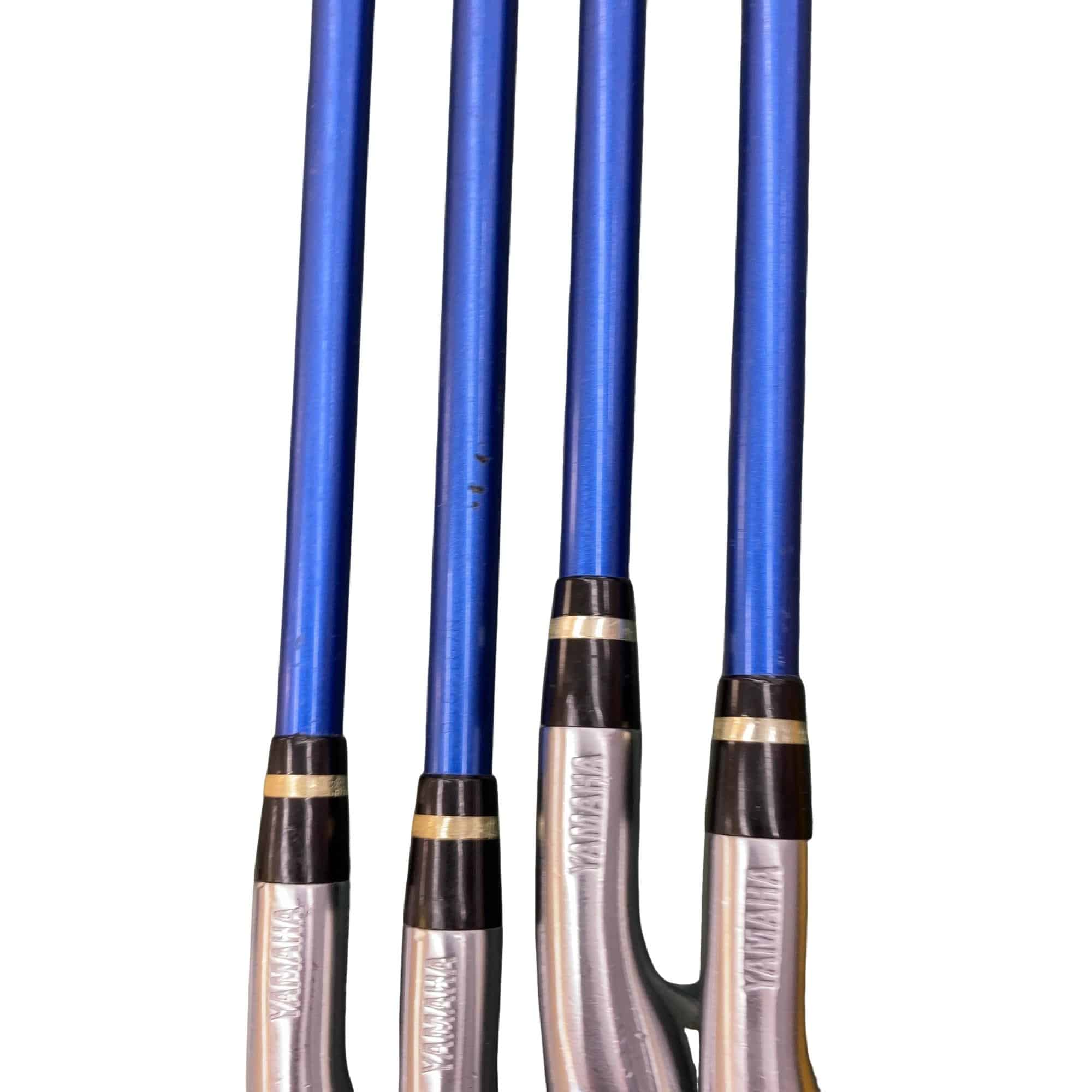 �������������@�t�c�{�Q�@�S�r�i���{���F�S�{�Z�b�g�j