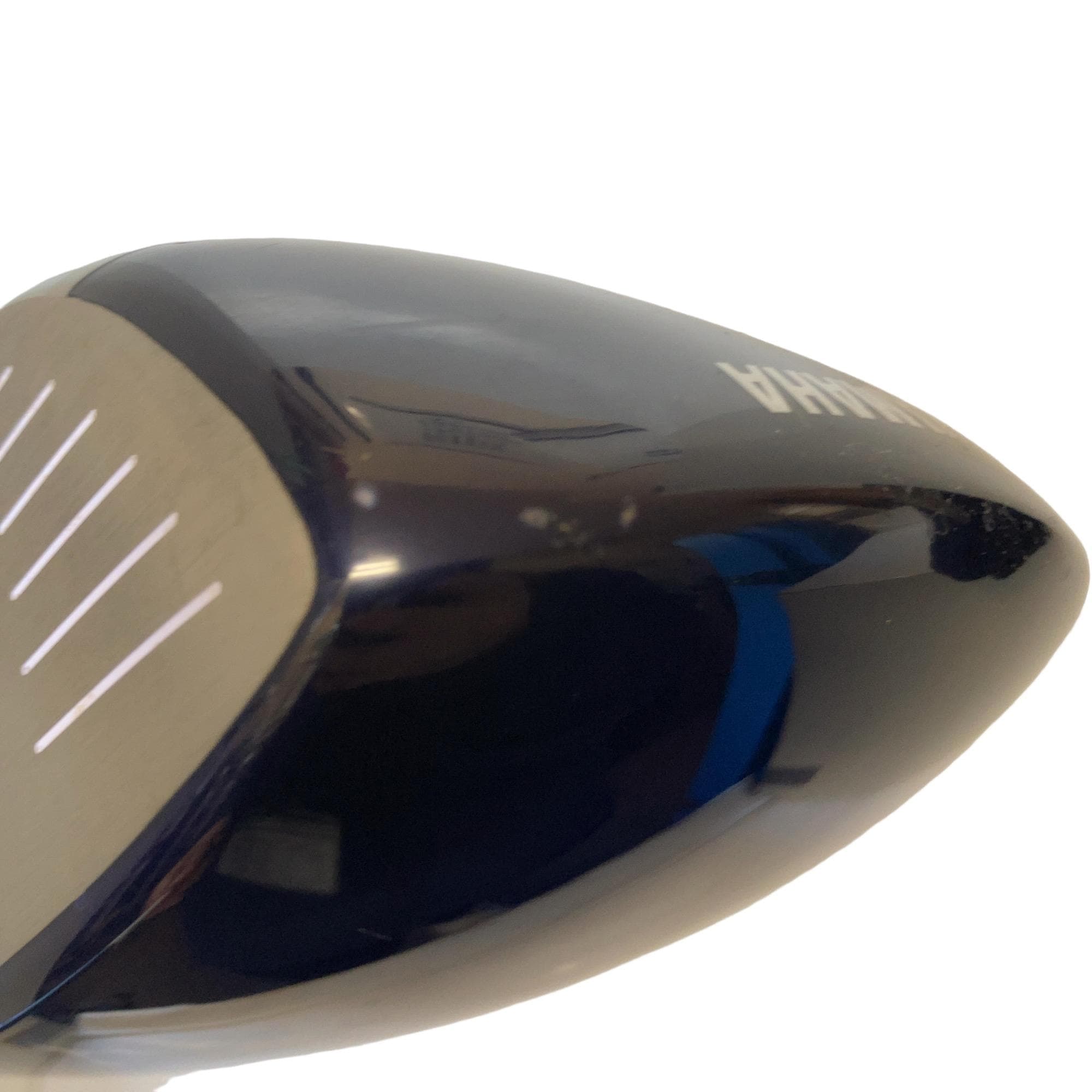 �������������@�t�c�{�Q�@�P�P�D�T°�@���f�B�[�X