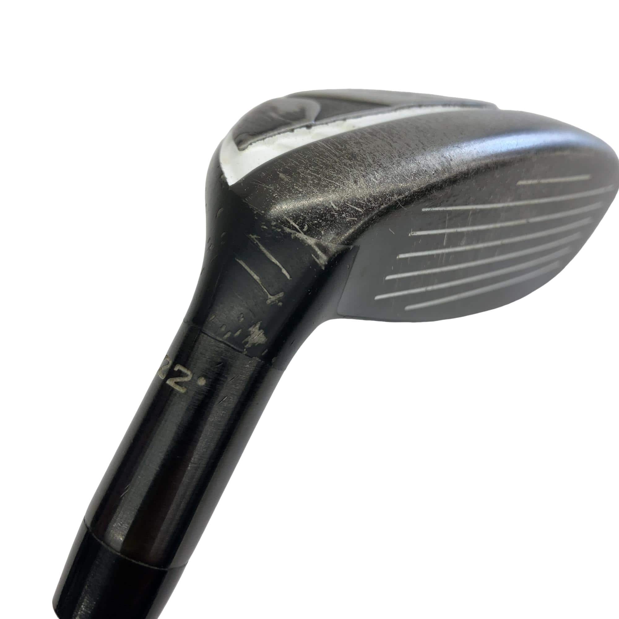 �w�Q�@�g�n�s�@�t�S