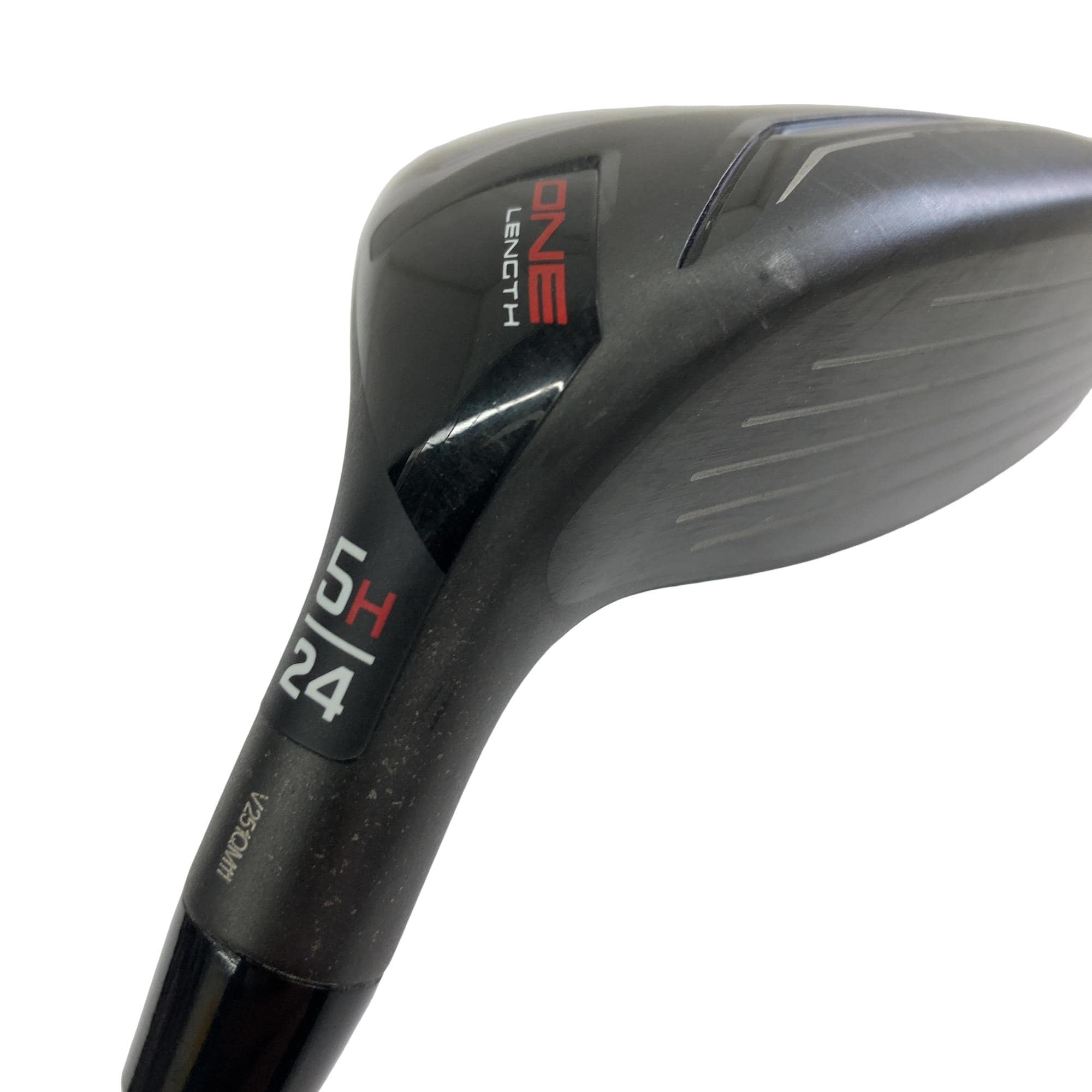 �����������@�`�d�q�n�i�d�s�@�t�T