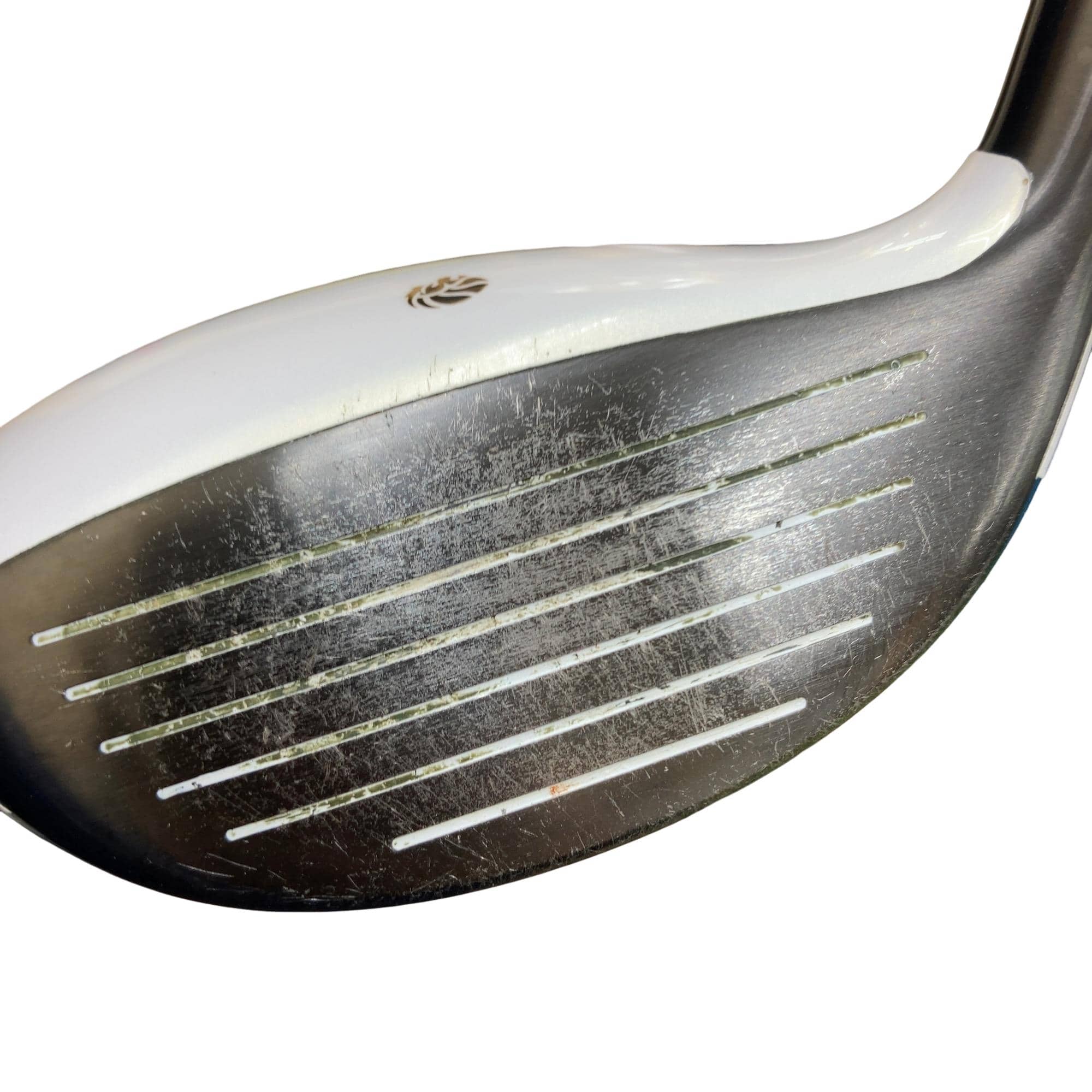 �f�k�n�h�q�d�@�e�i�Q�O�P�U�j�@�T�v