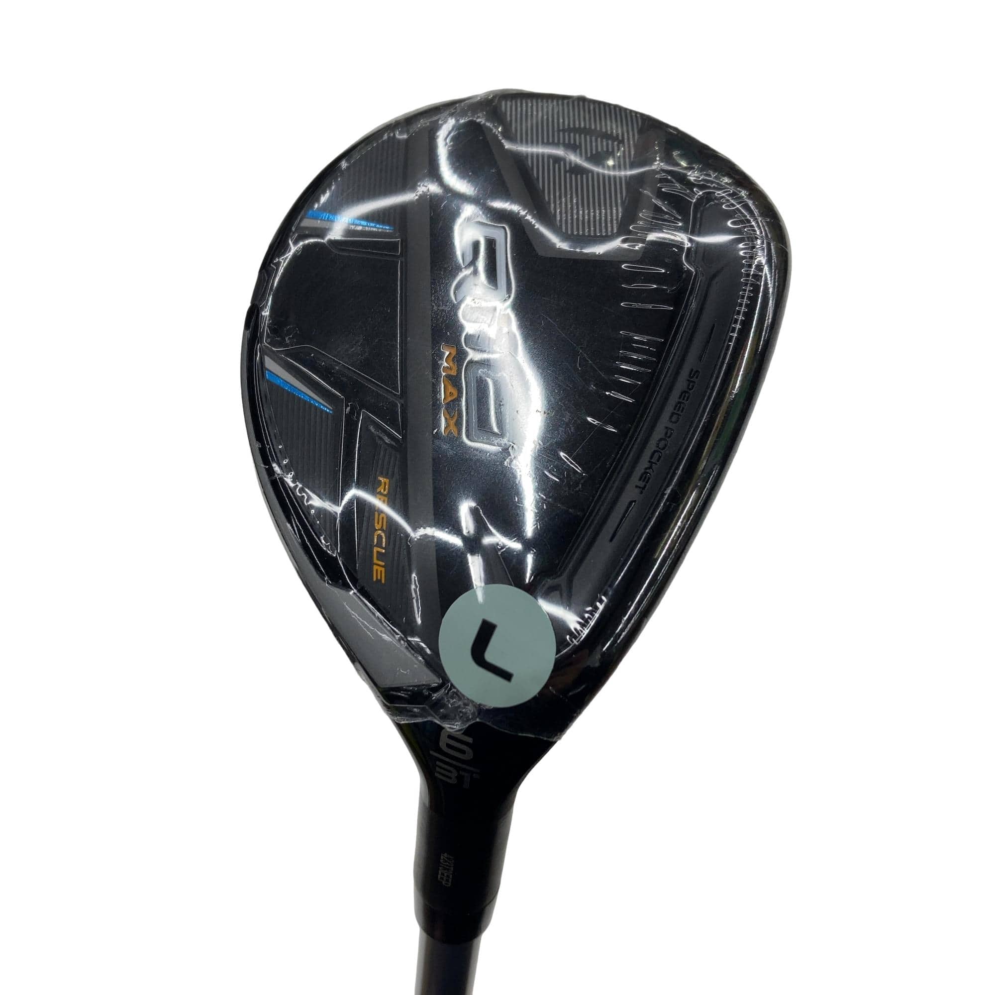 �p���P�O�@�l�`�w�@�t�U�@���f�B�[�X