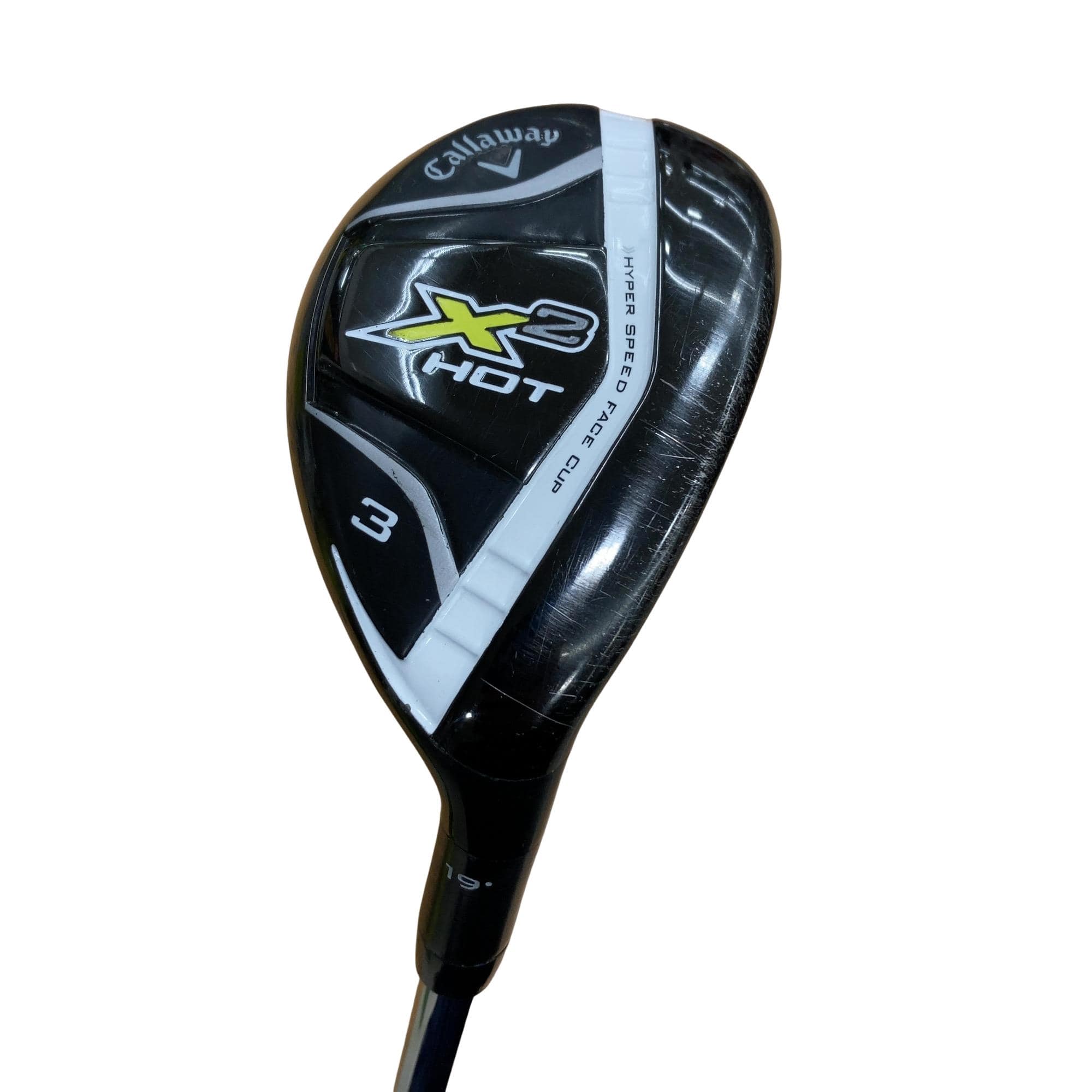 �w�Q�@�g�n�s�@�t�R