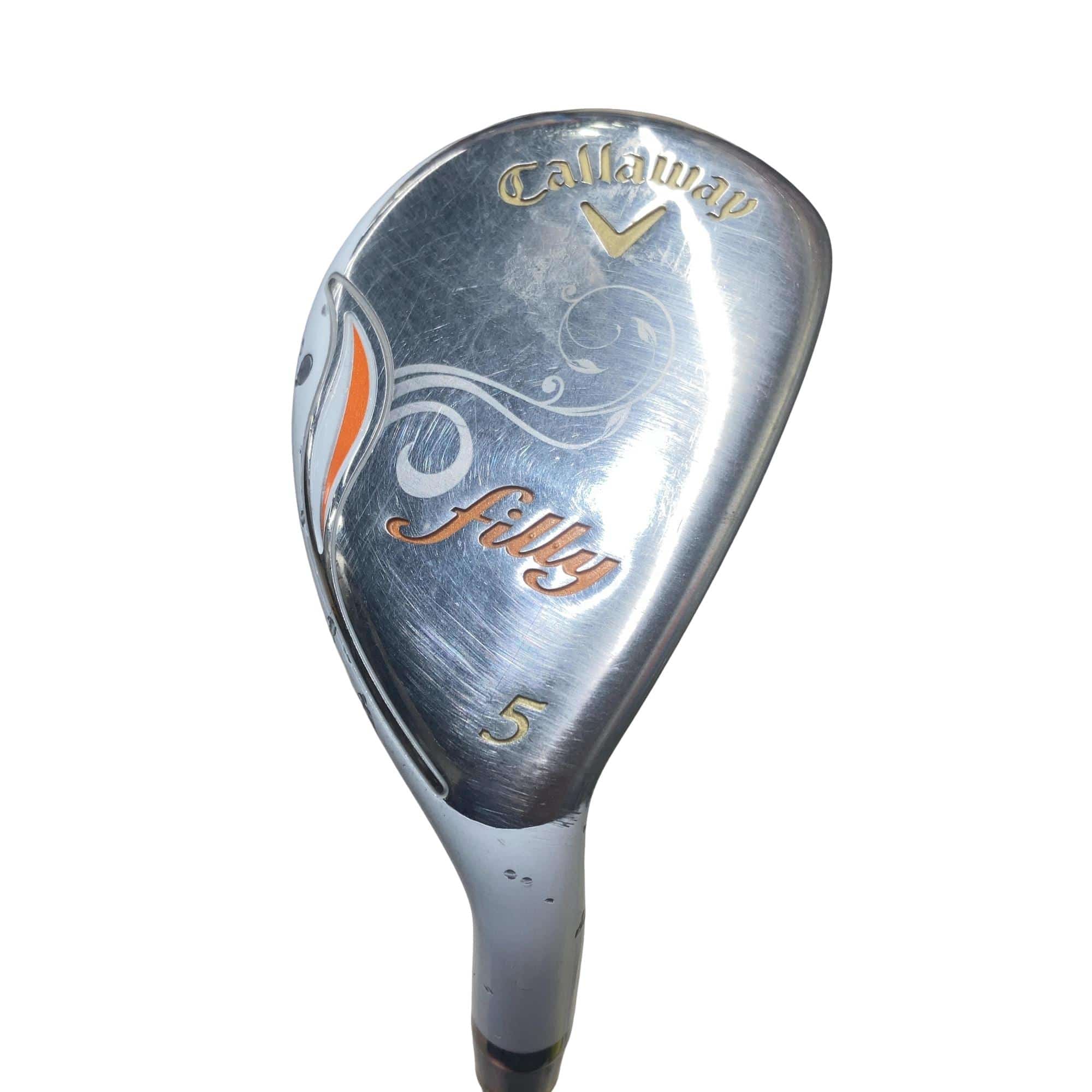 �����������i�Q�O�P�T�j�@�T�g�@���f�B�[�X