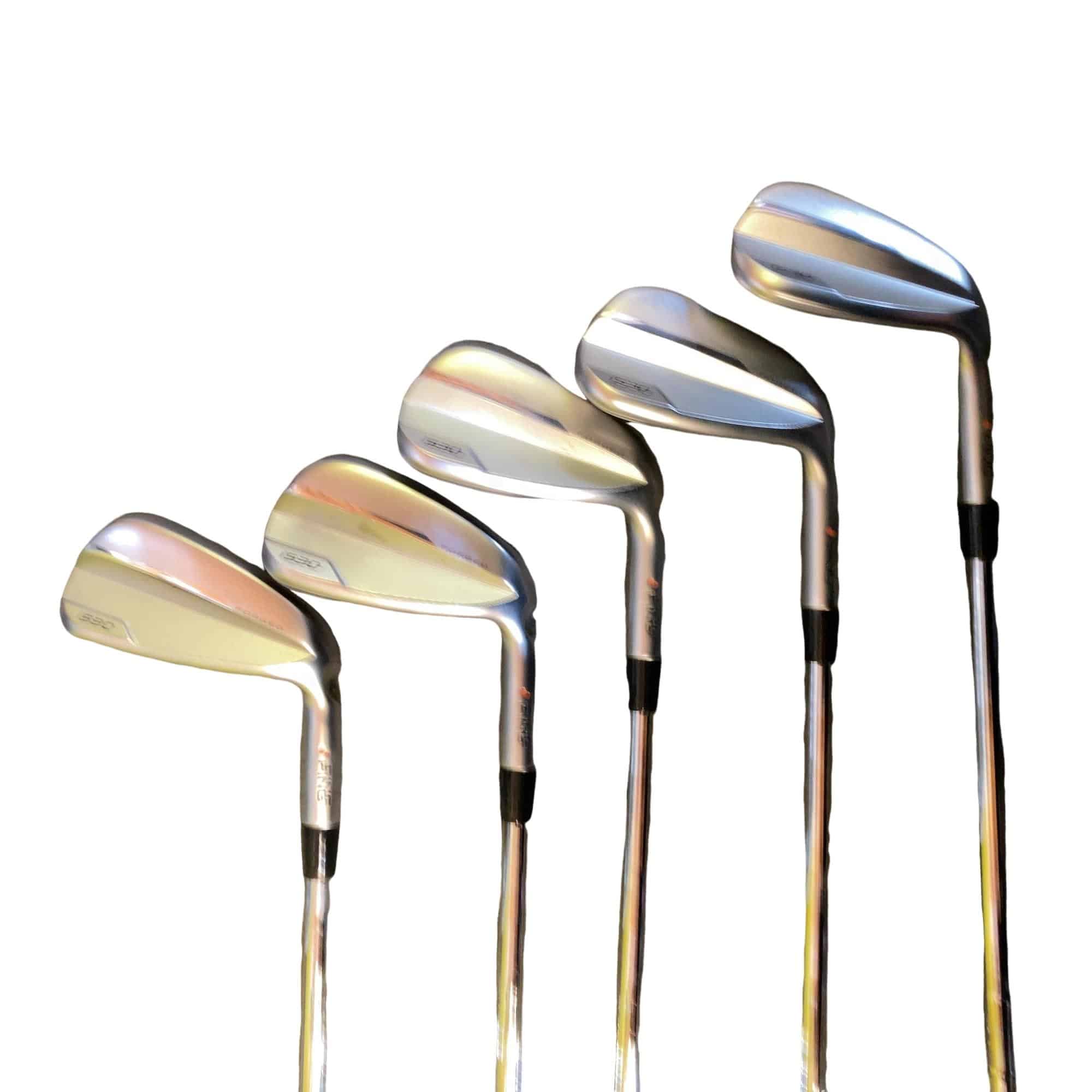 ���T�R�O�@�T�r�i���{���F�T�{�Z�b�g�j