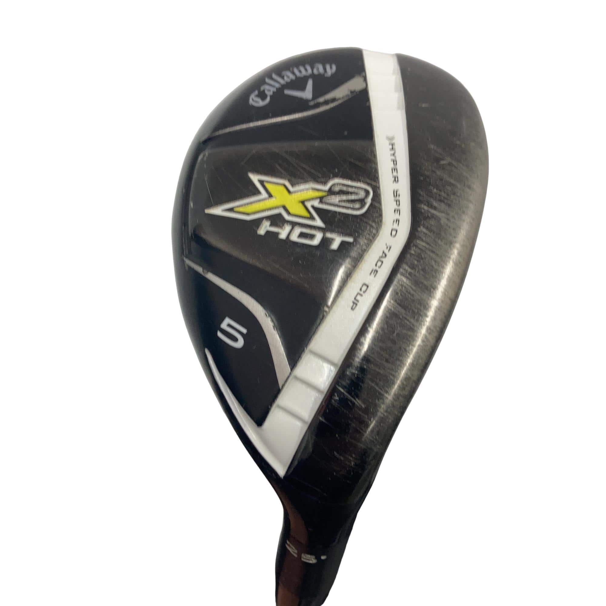 �w�Q�@�g�n�s�@�t�T�@���f�B�[�X