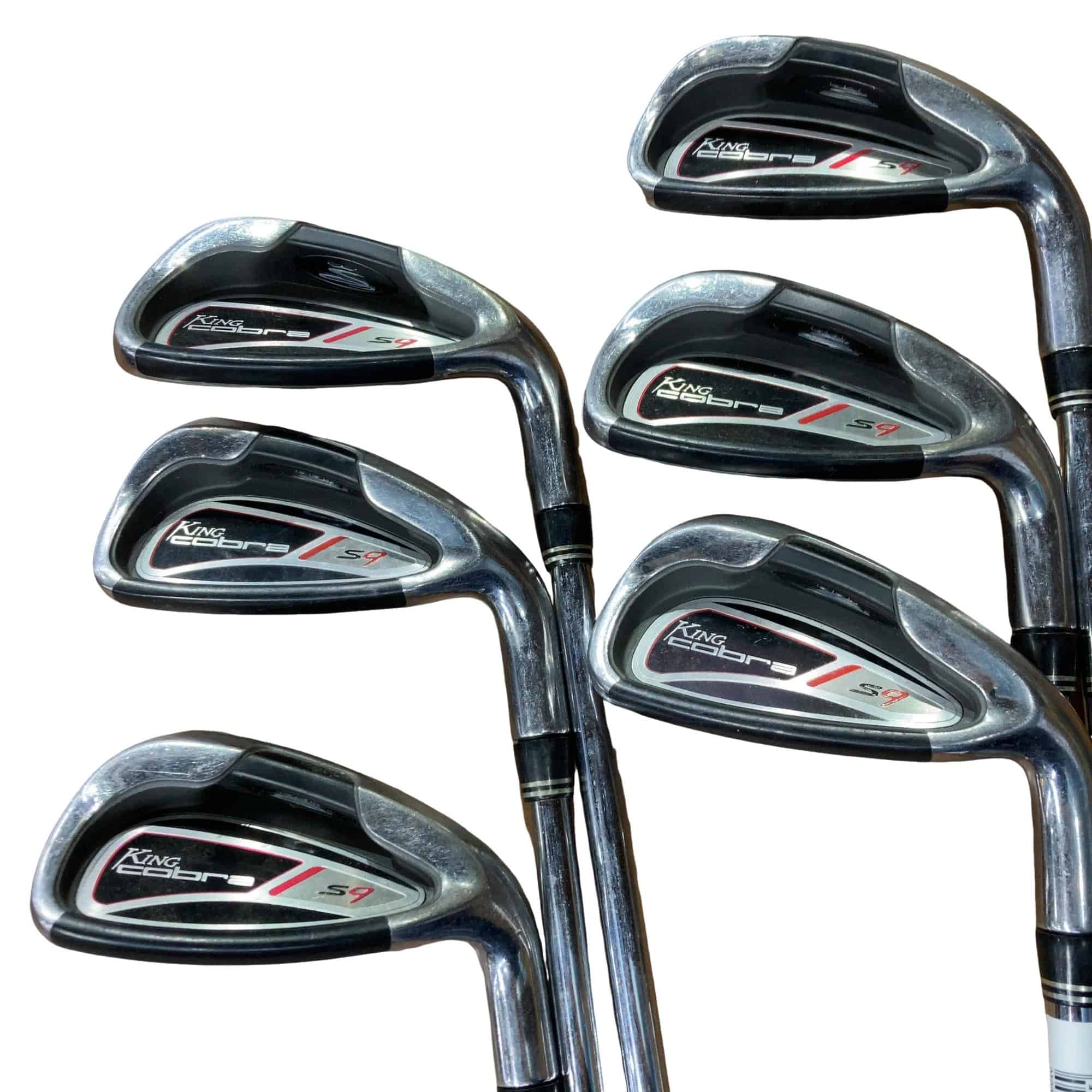 �j�h�m�f�@�����������@�r�X�@�@�U�r�i���{���F�U�{�Z�b�g�j