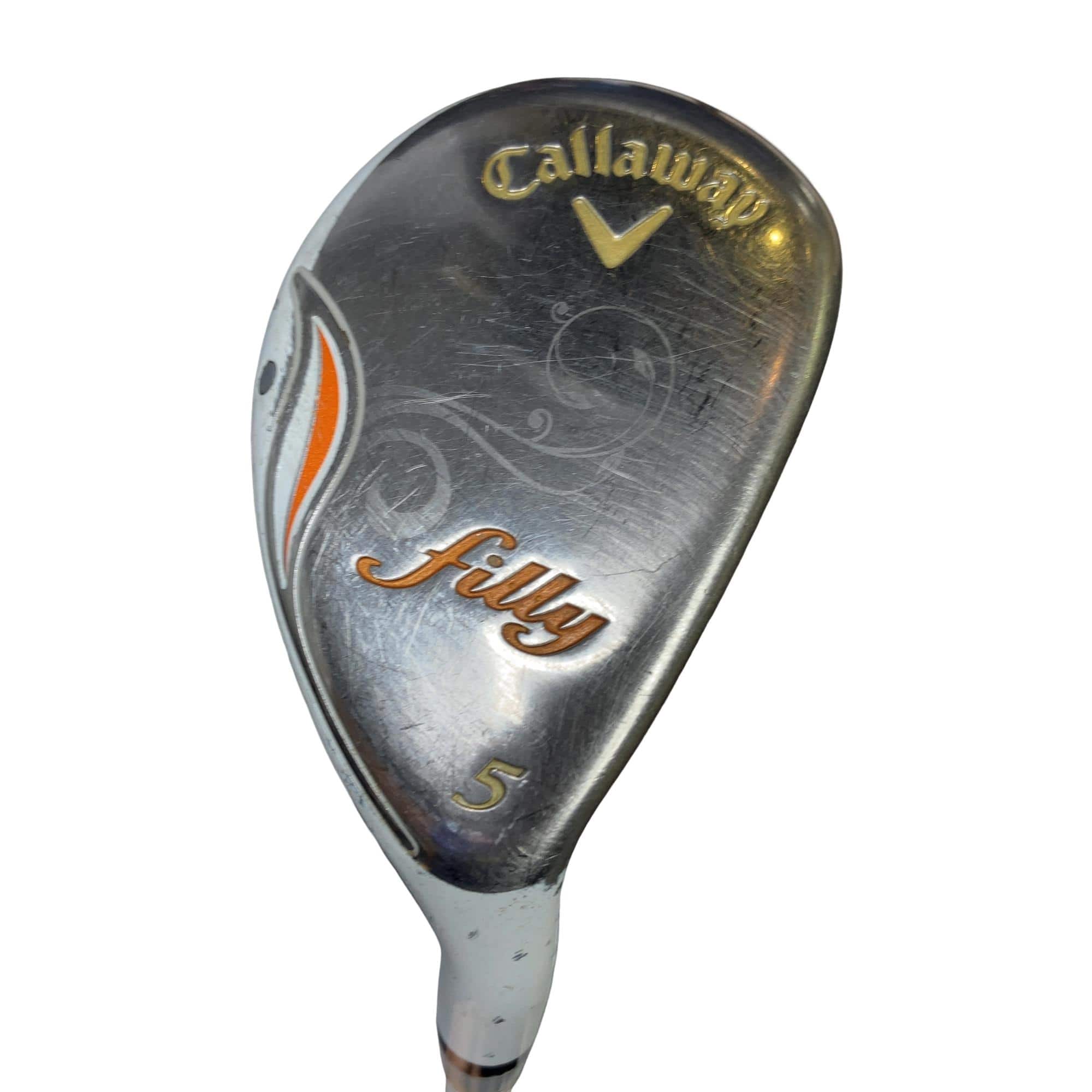 �����������i�Q�O�P�T�j�@�T�g�@���f�B�[�X