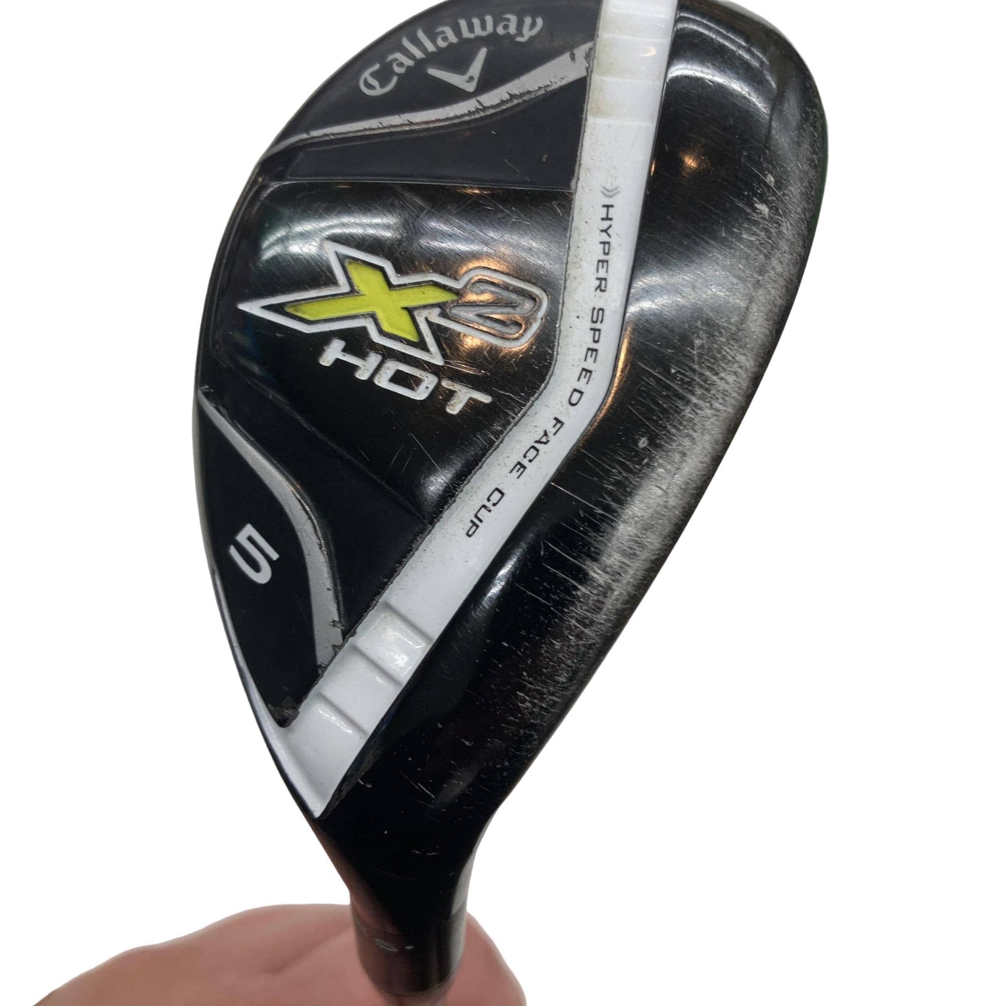 �w�Q�@�g�n�s�@�t�T