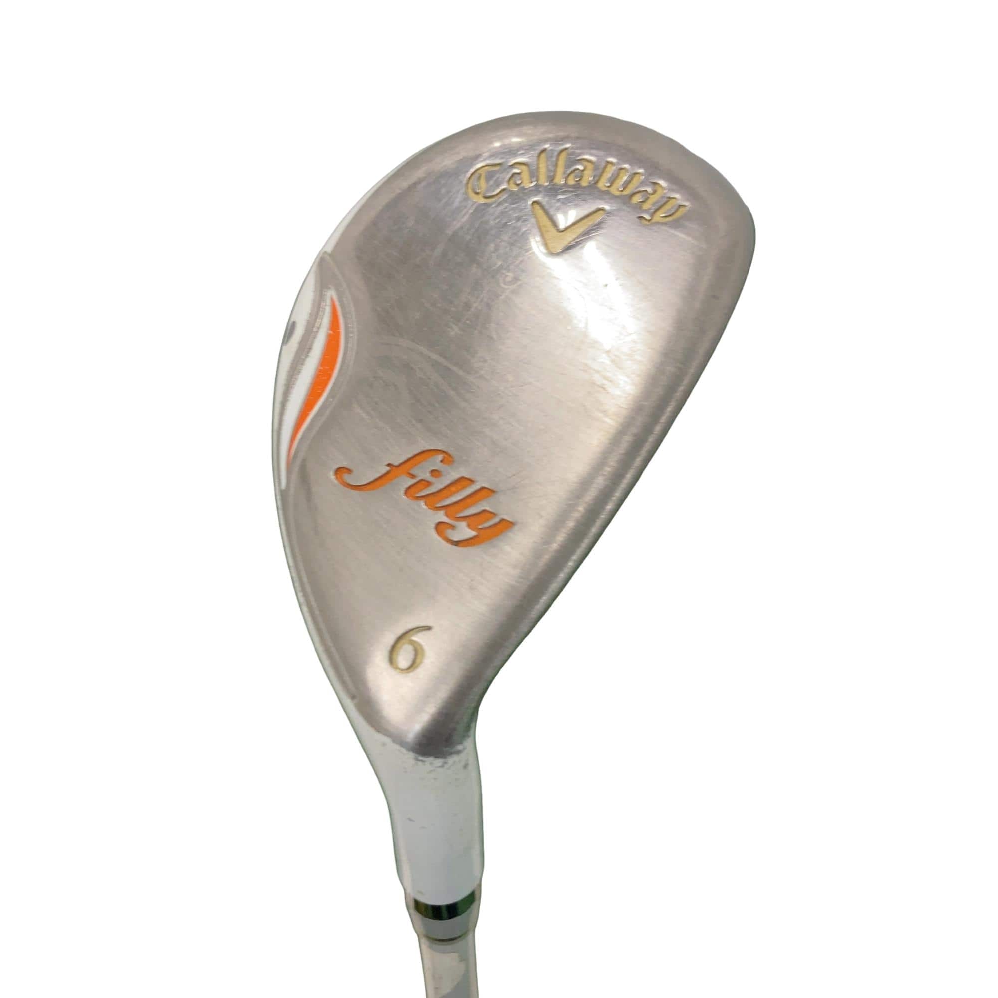 �����������i�Q�O�P�T�j�@�U�g�@���f�B�[�X