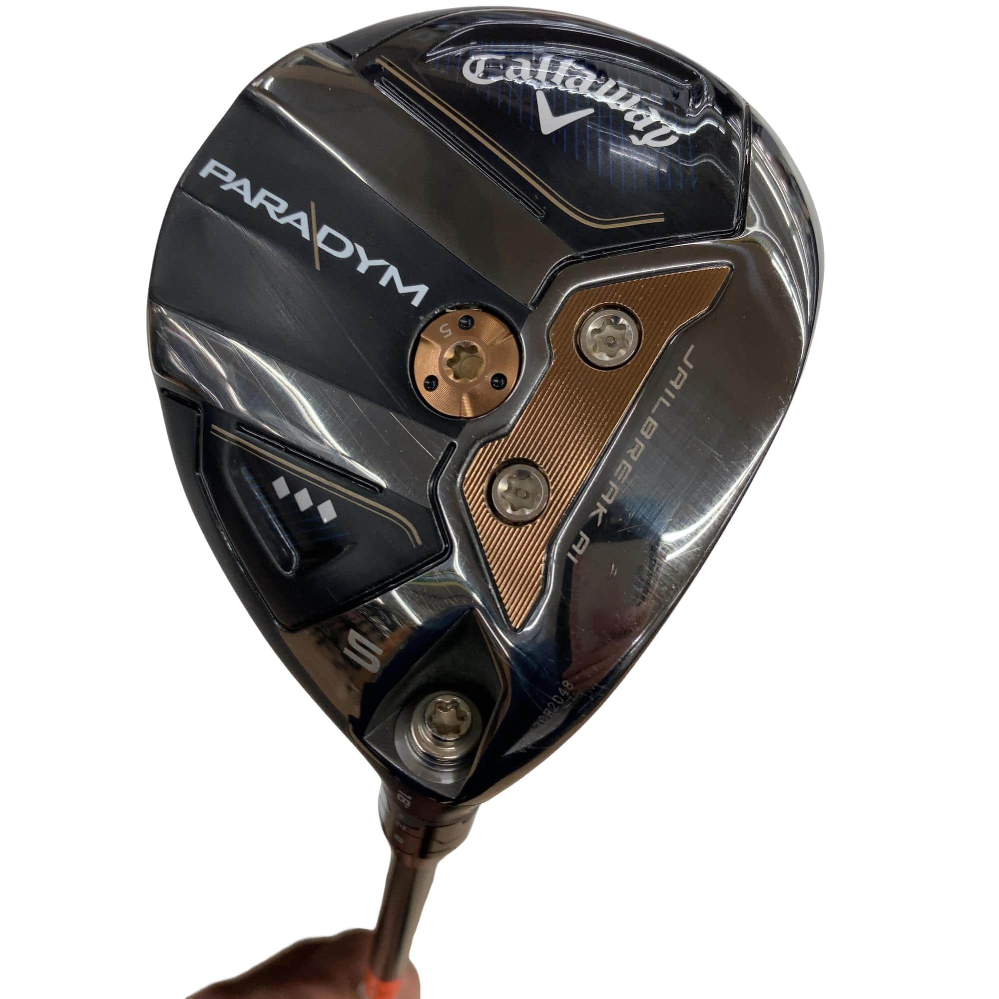 �o�`�q�`�c�x�l�@�������@�T�v