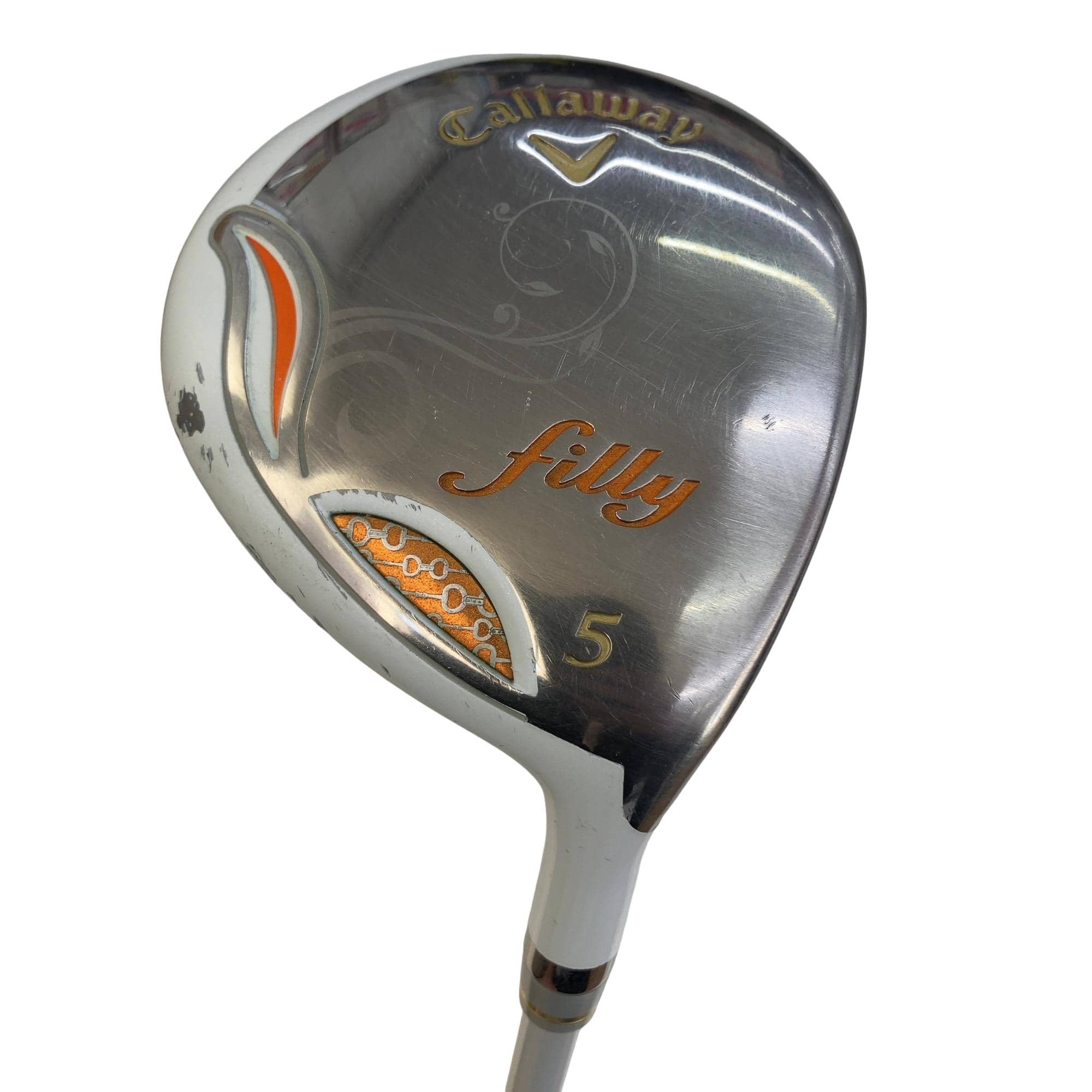 �����������i�Q�O�P�T�j�@�T�v�@���f�B�[�X