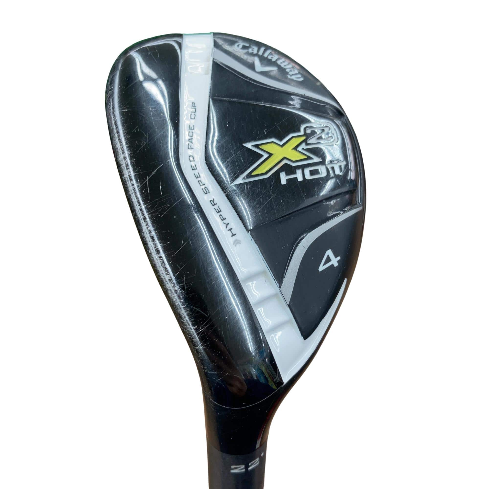 �w�Q�@�g�n�s�@�t�S�@���t�e�B