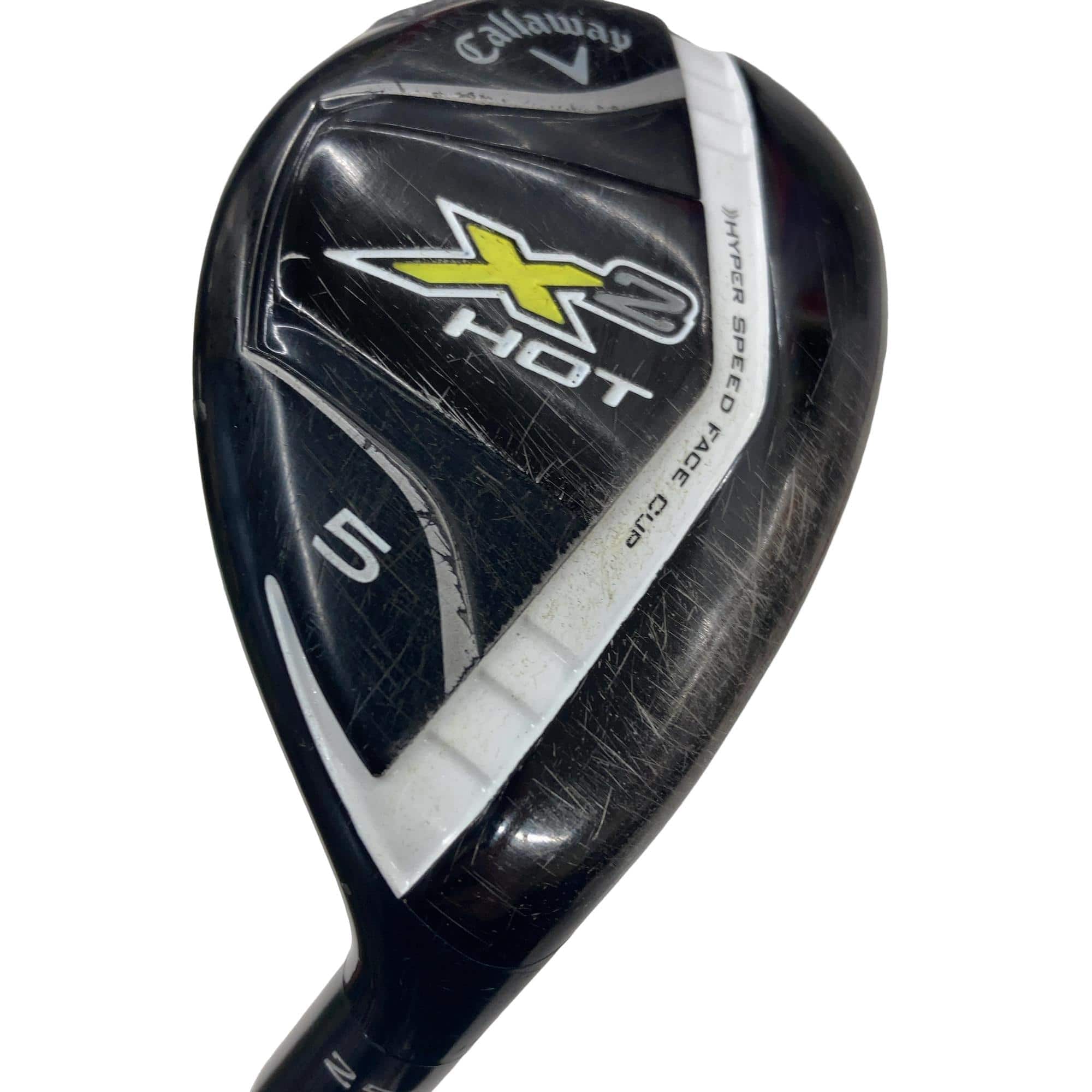 �w�Q�@�g�n�s�@�t�T