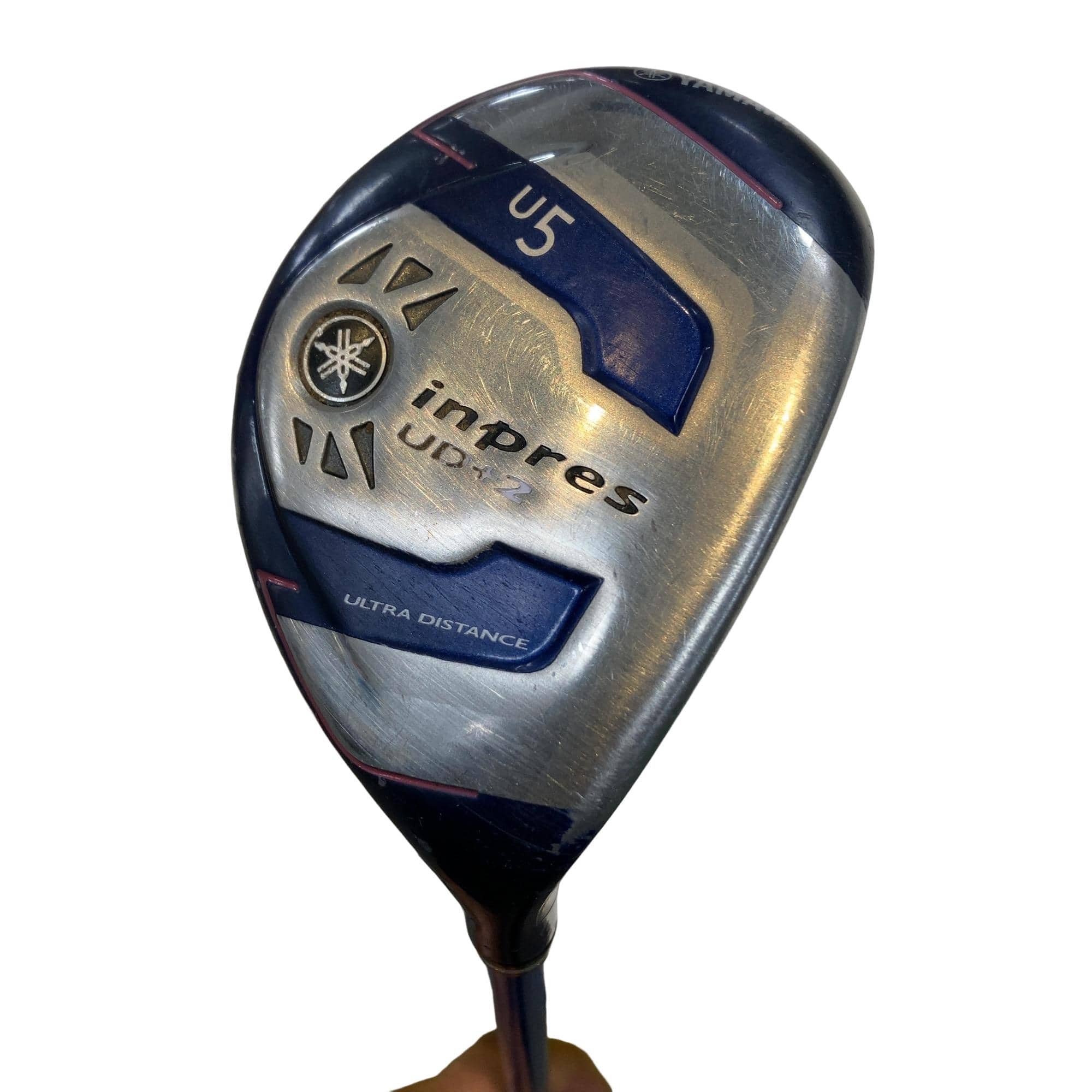 �������������@�t�c�{�Q�@�t�S�@���f�B�[�X