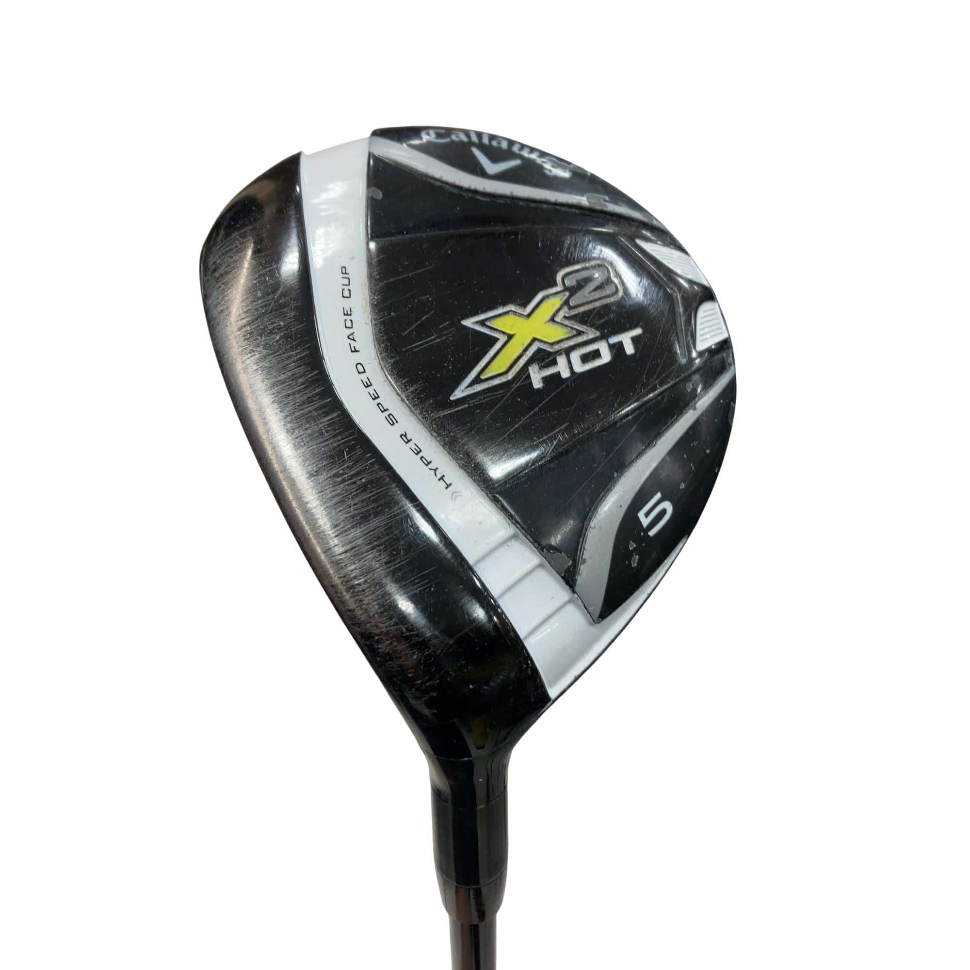 �w�Q�@�g�n�s�@�@�T�v�@���t�e�B