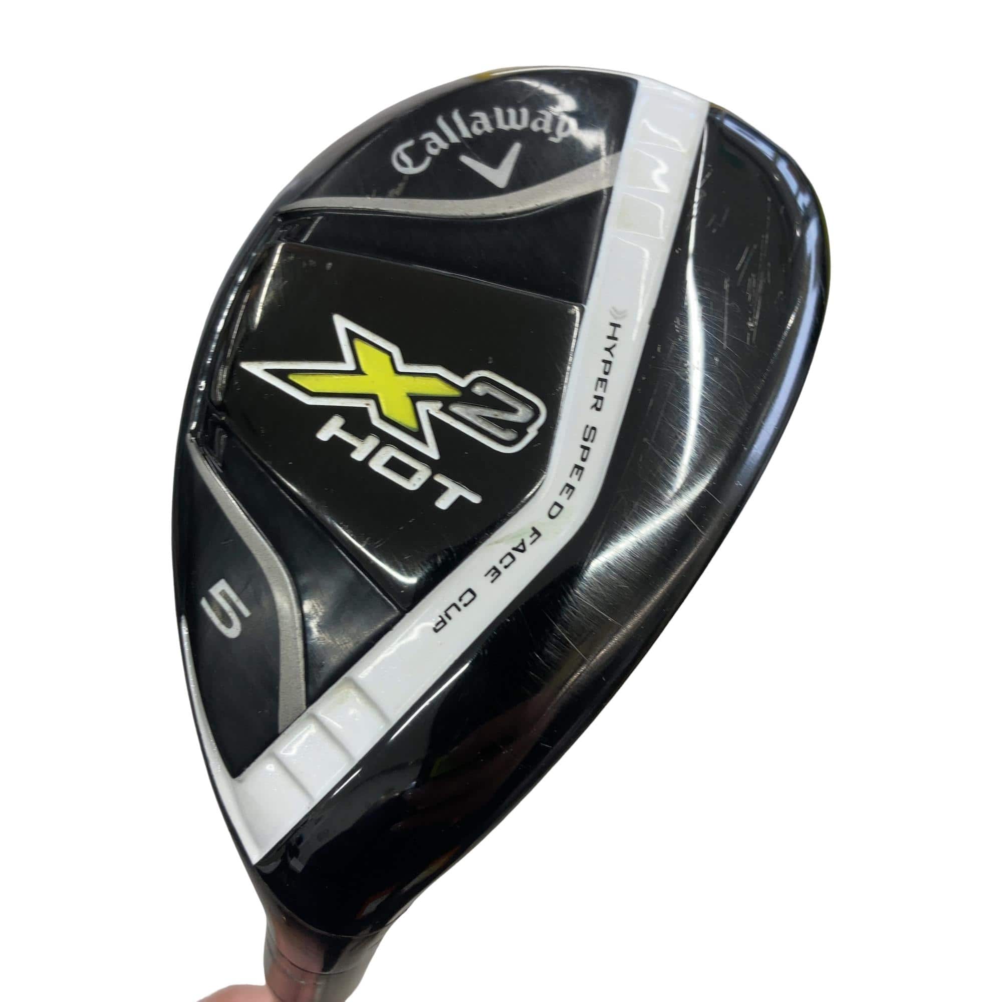 �w�Q�@�g�n�s�@�t�T