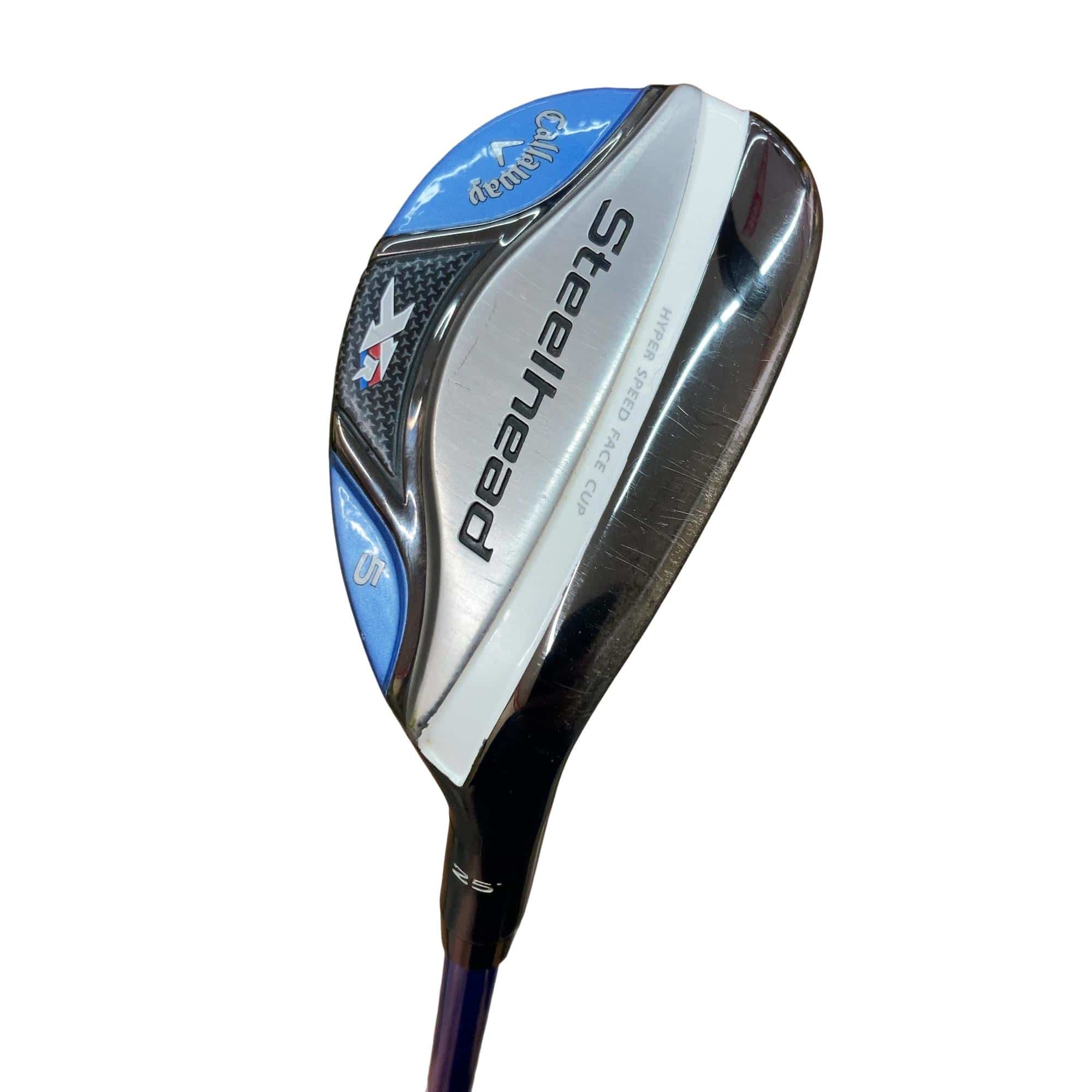 �w�q�@�t�T�@���f�B�[�X