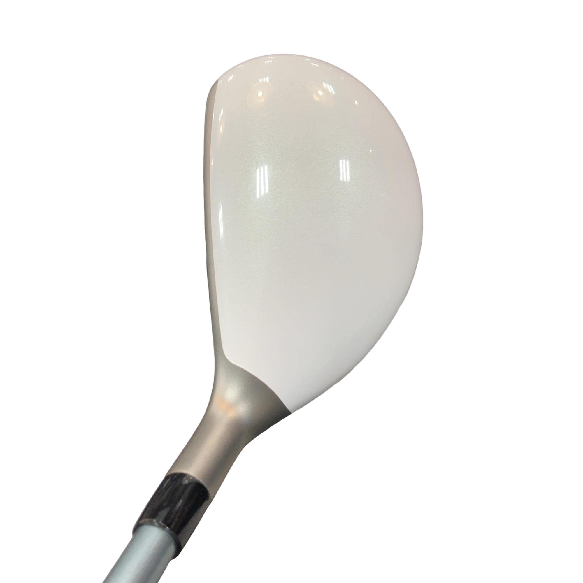 �a�q�|�w�@�t�T�@���f�B�[�X