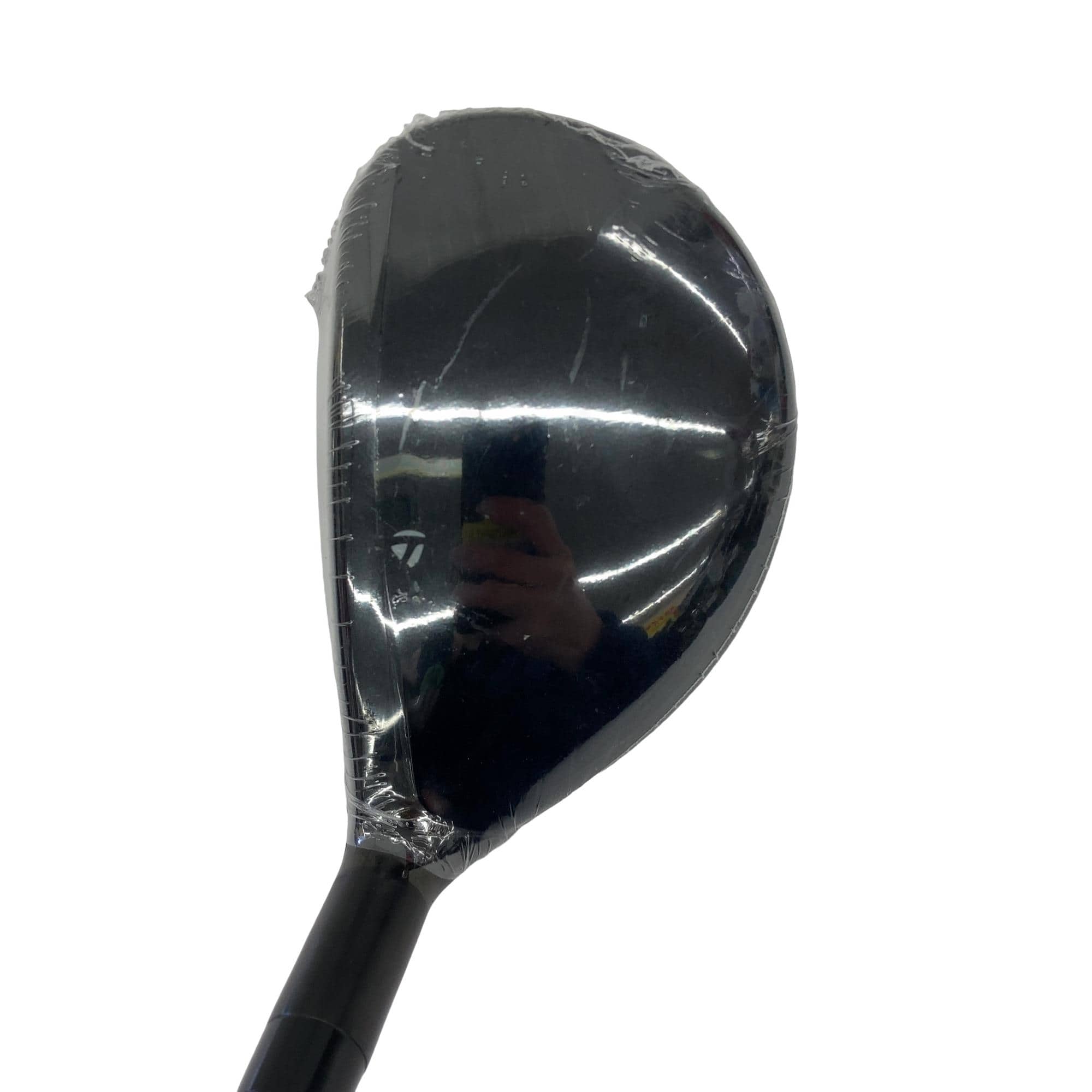 �p���P�O�@�l�`�w�@�t�U�@���f�B�[�X