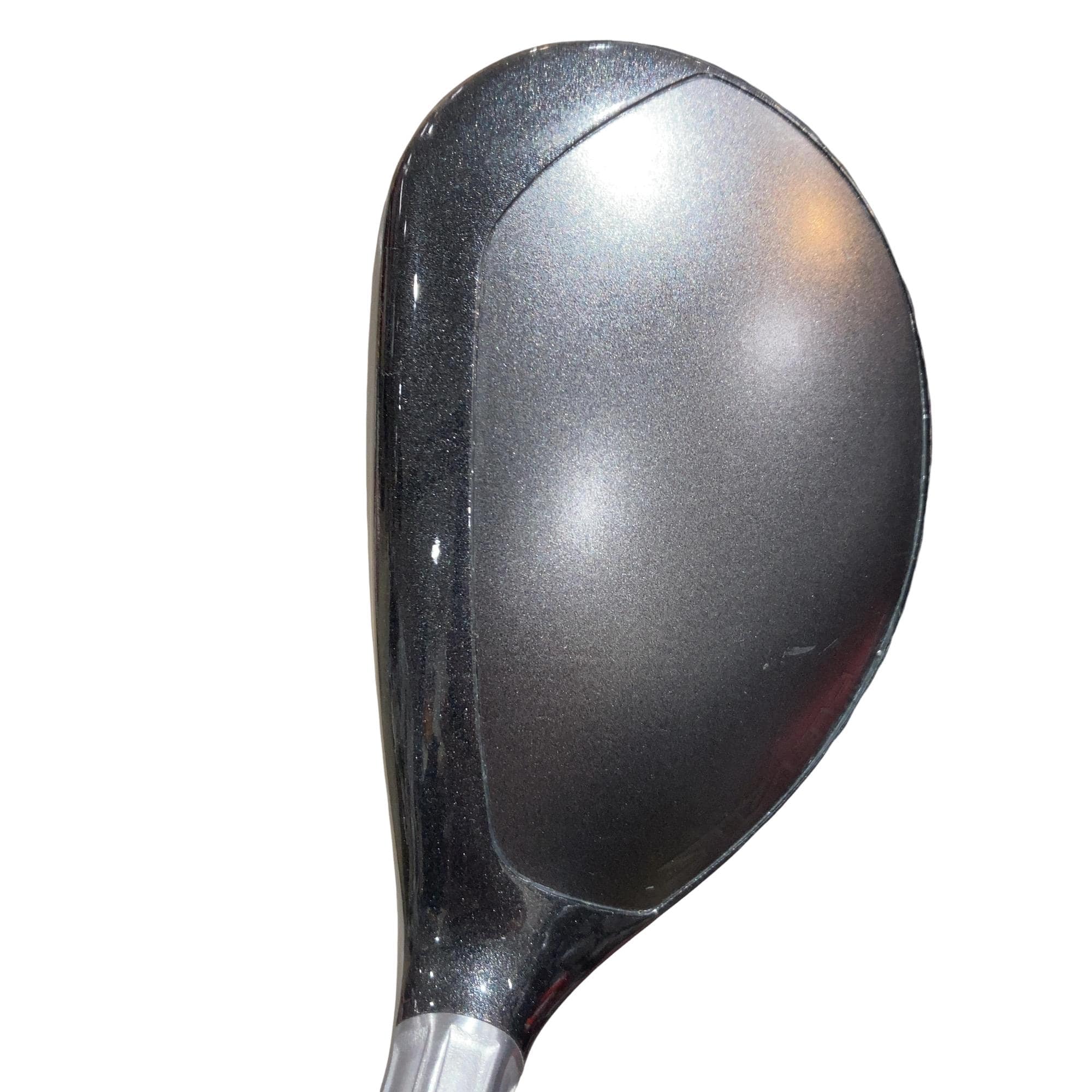 �r�s�d�`�k�s�g�@�t�S�@���f�B�[�X