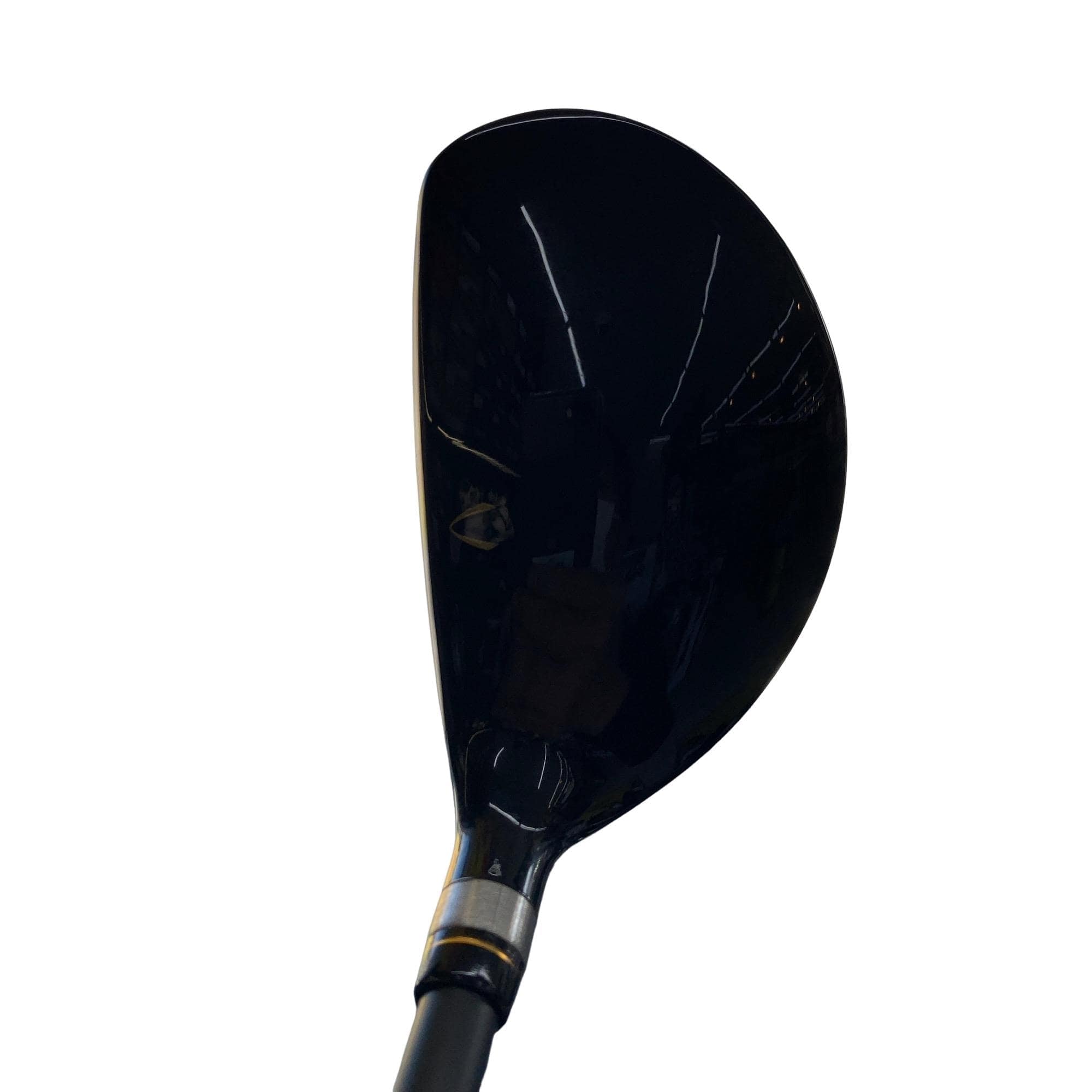 �j�Q�j�@���������O�X���[�e�B���e�B�@�t�T