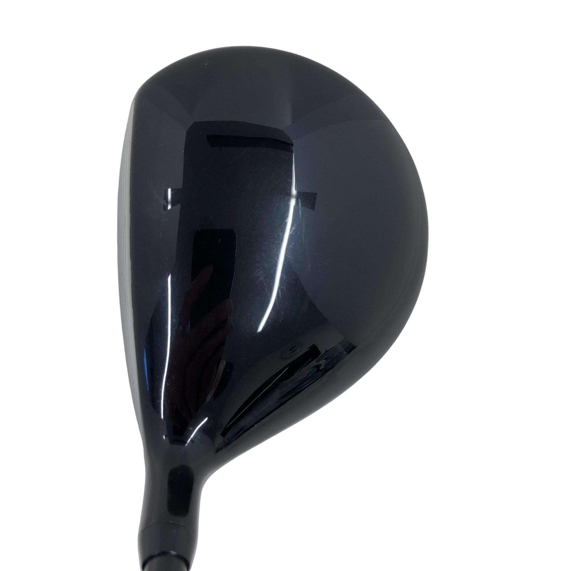 �������������@�w�@�c�@�e�v�@�R�v