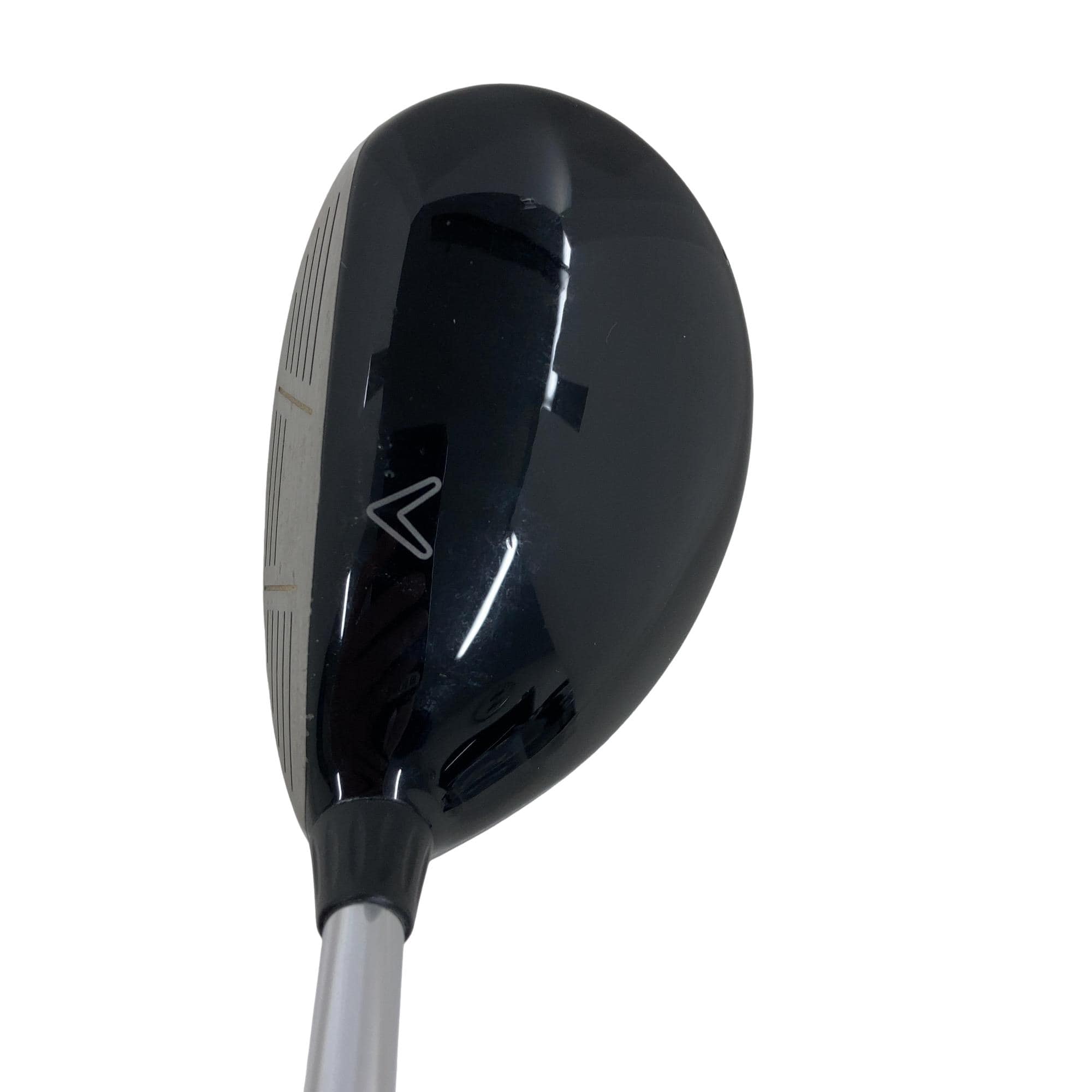 �w�@���[�e�B���e�B�@�Q�g�i�P�W°�j