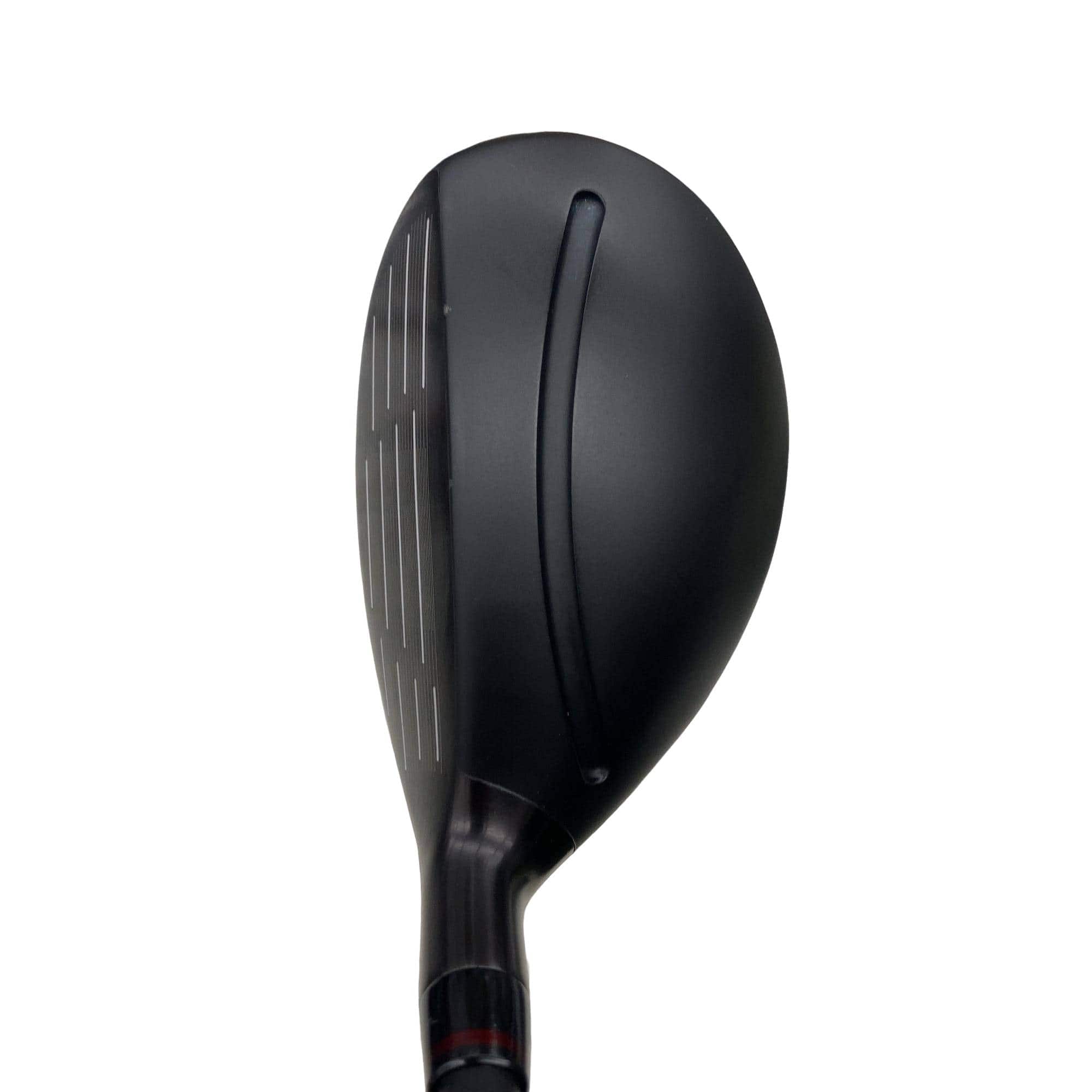 nmnee@tshkhsx@vhmfriQOQSj@`j`@tU