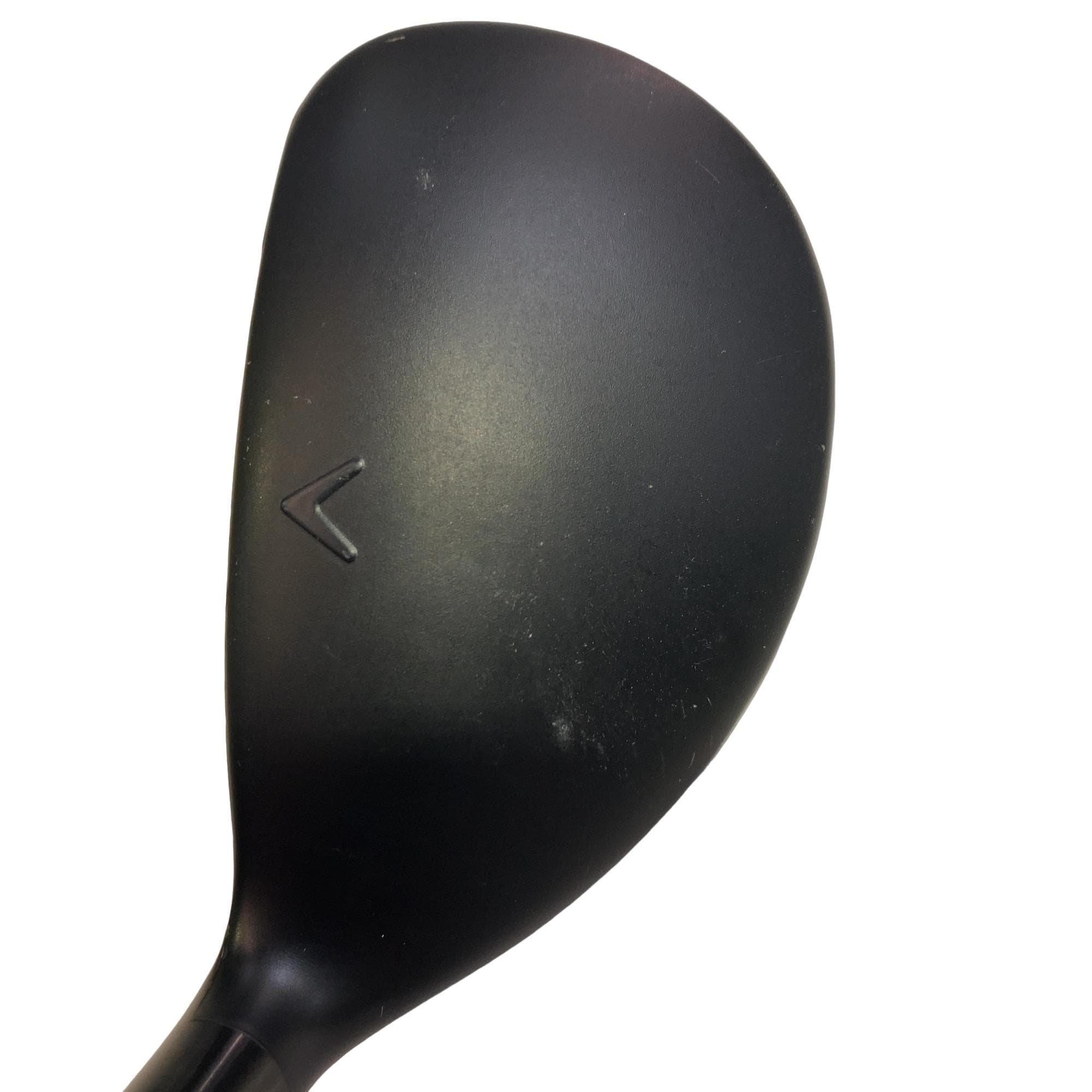 �w�q�@�P�U�@�n�r�@�t�R