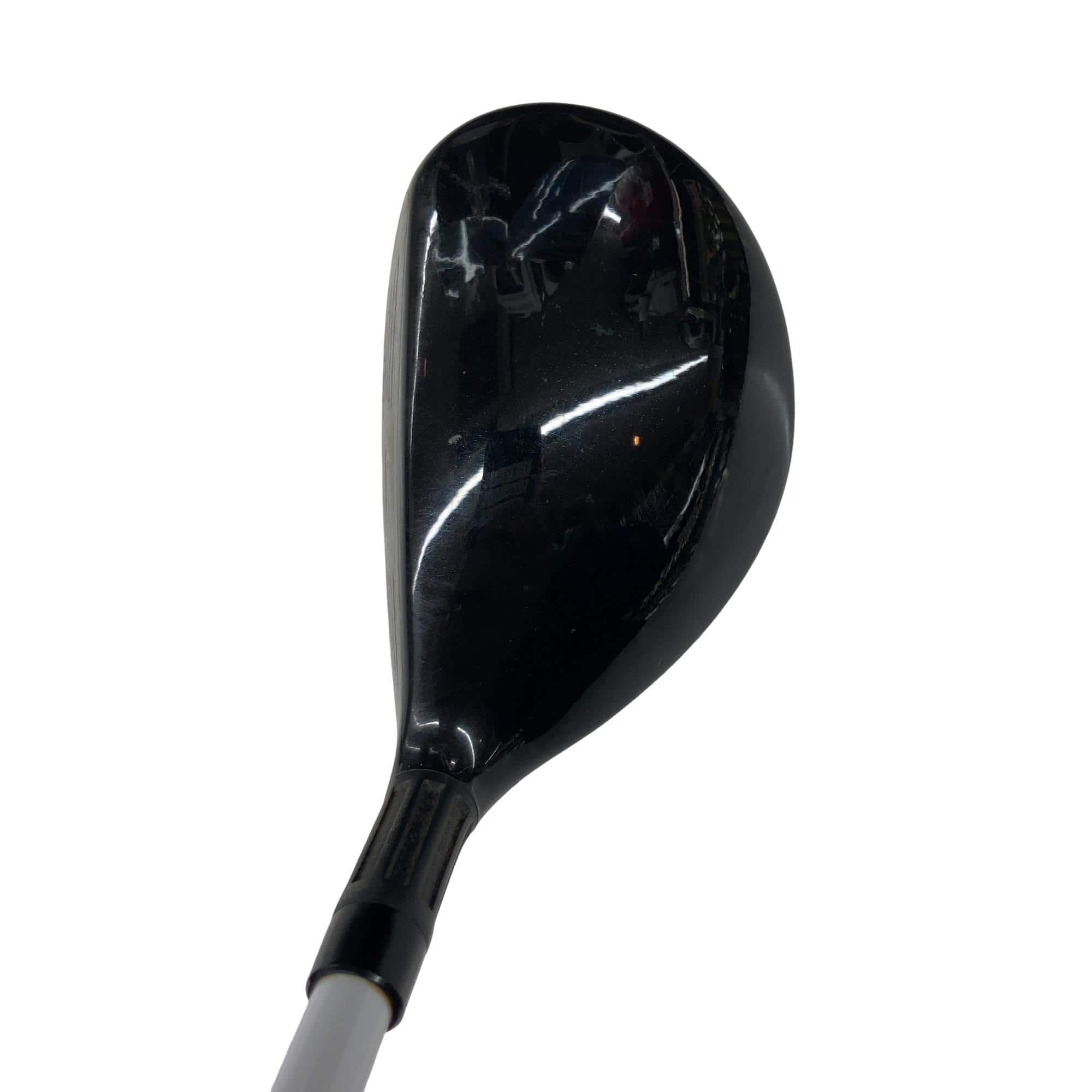 �l�Q�@�t�T�@���f�B�[�X