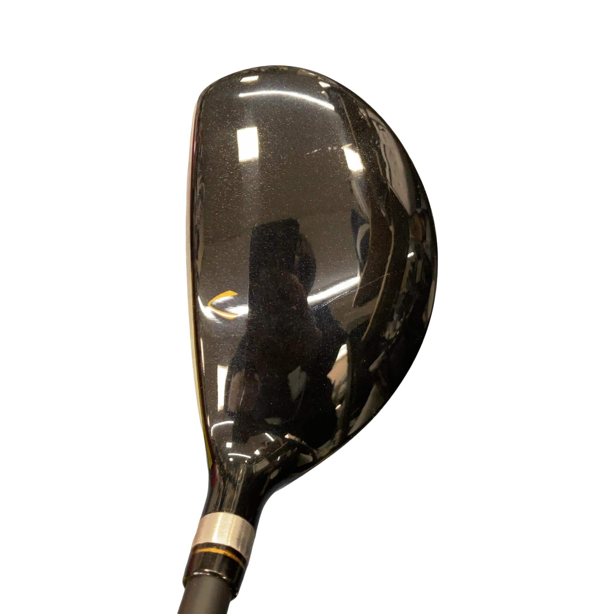 �j�Q�j�@���������O�X���[�e�B���e�B�@�t�T