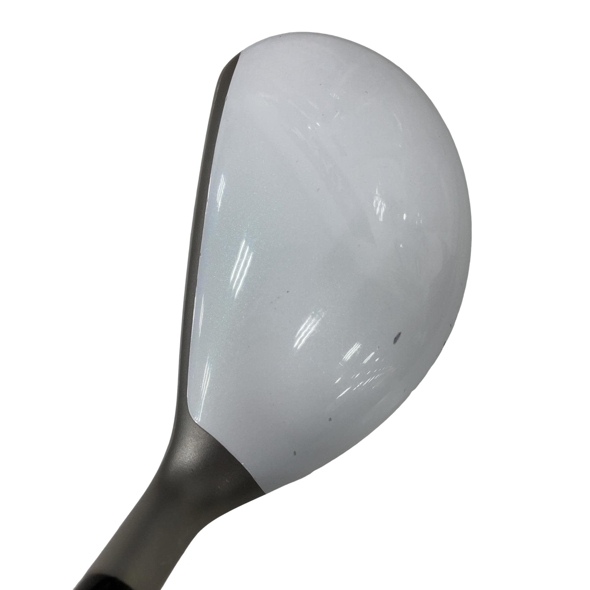 �a�q�|�w�@�t�T�@���f�B�[�X