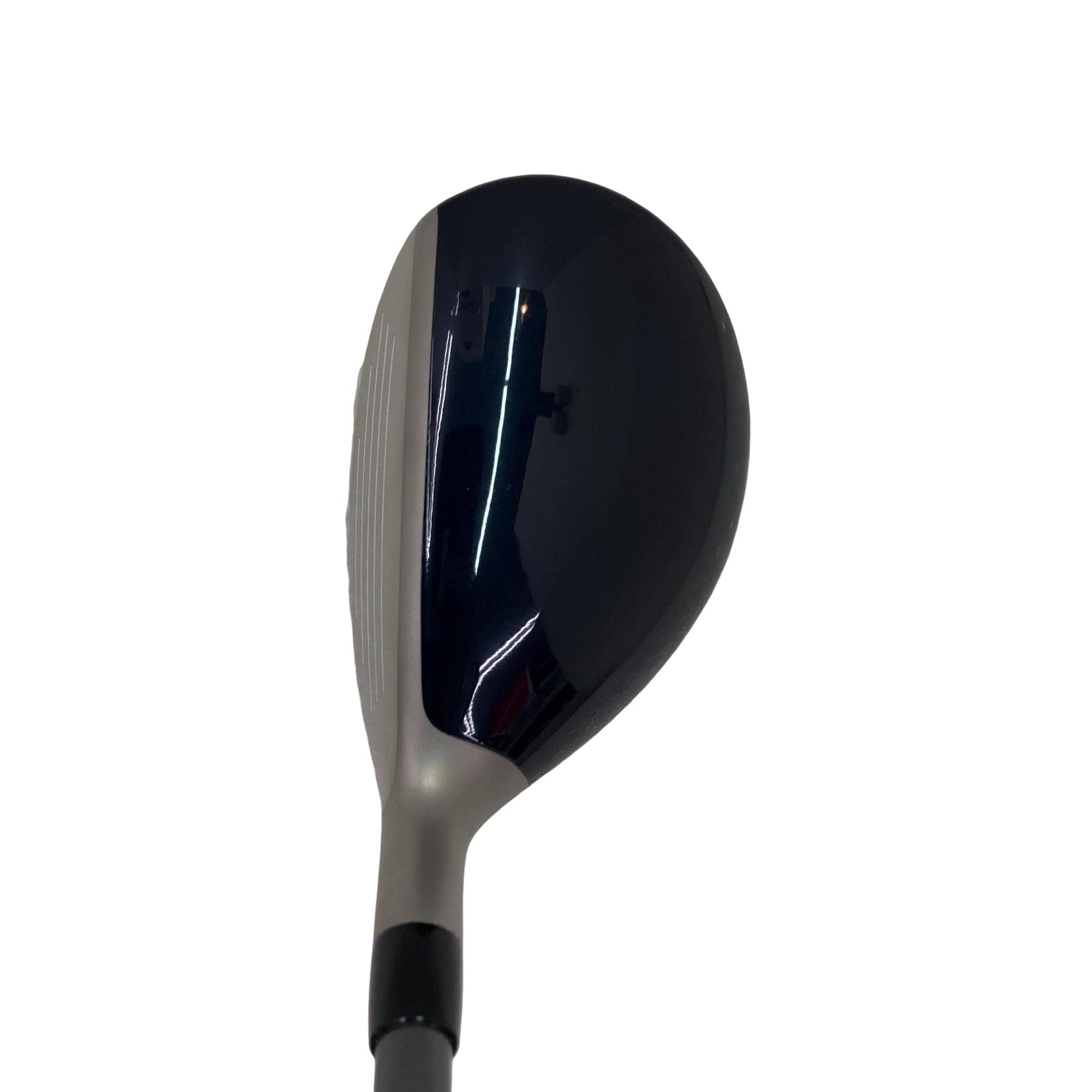 �a�q�|�w�@�t�R