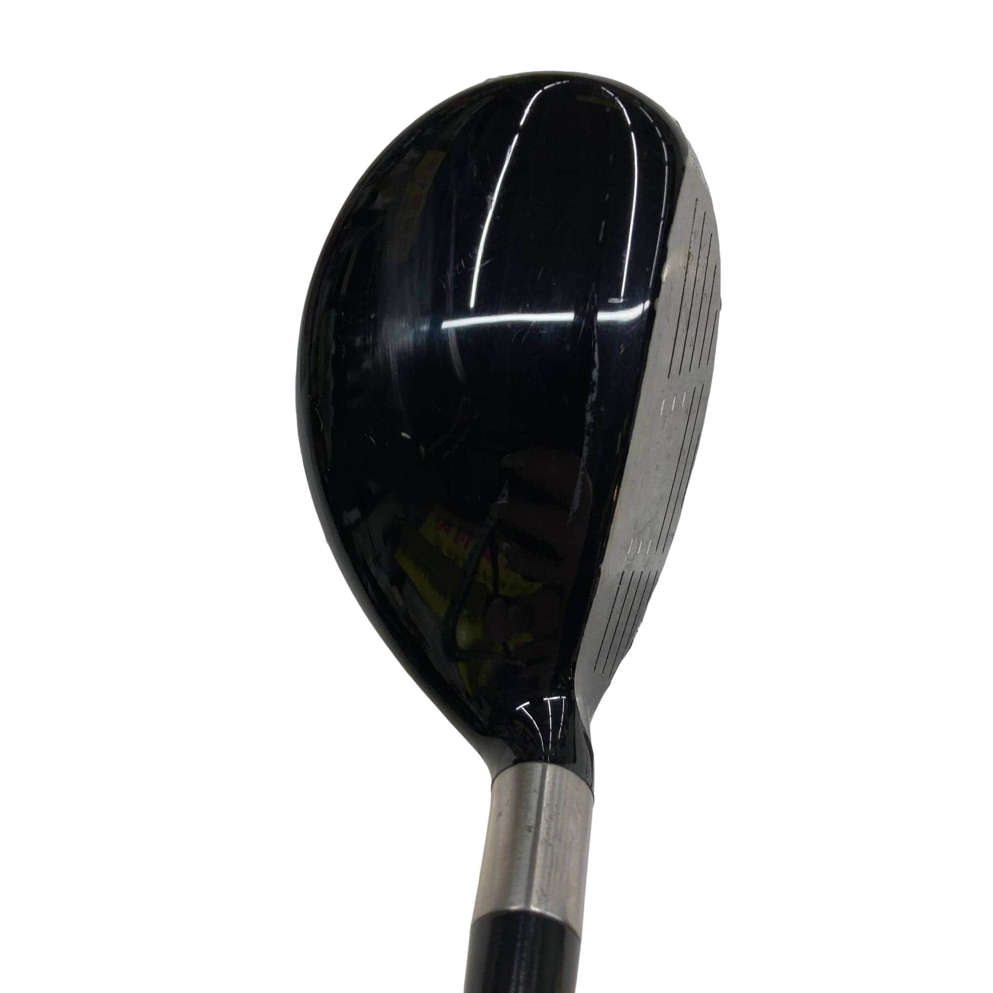 �e�s�@���[�e�B���e�B�@�c�q�`�v�@�S�g�@���t�e�B