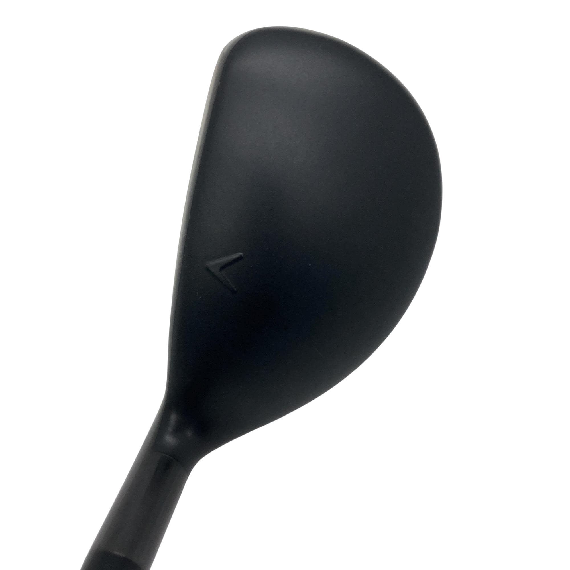 �w�q�@�P�U�@�n�r�@�t�R